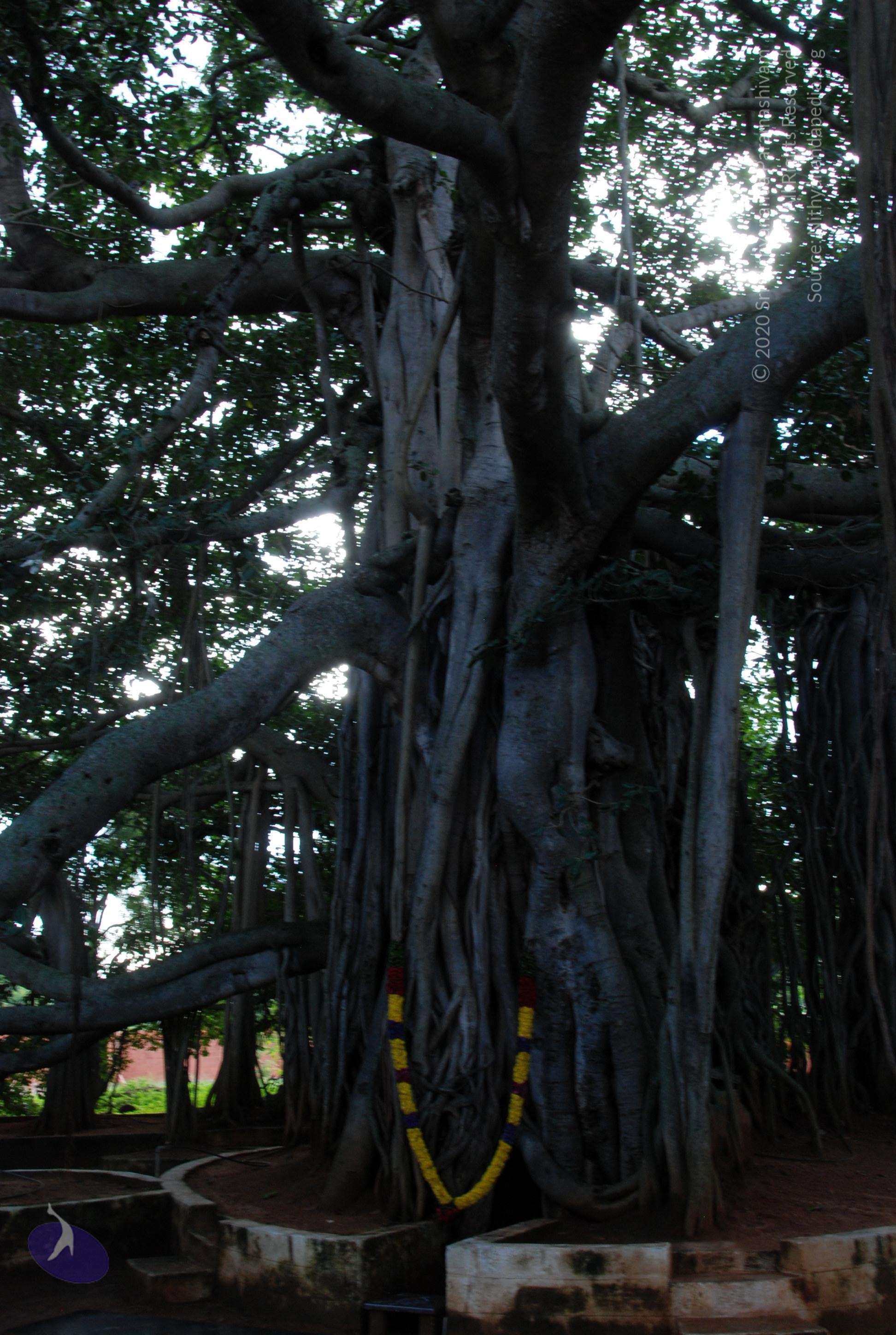 20101005_Photo_1011_DSC_7397_CMP_WM