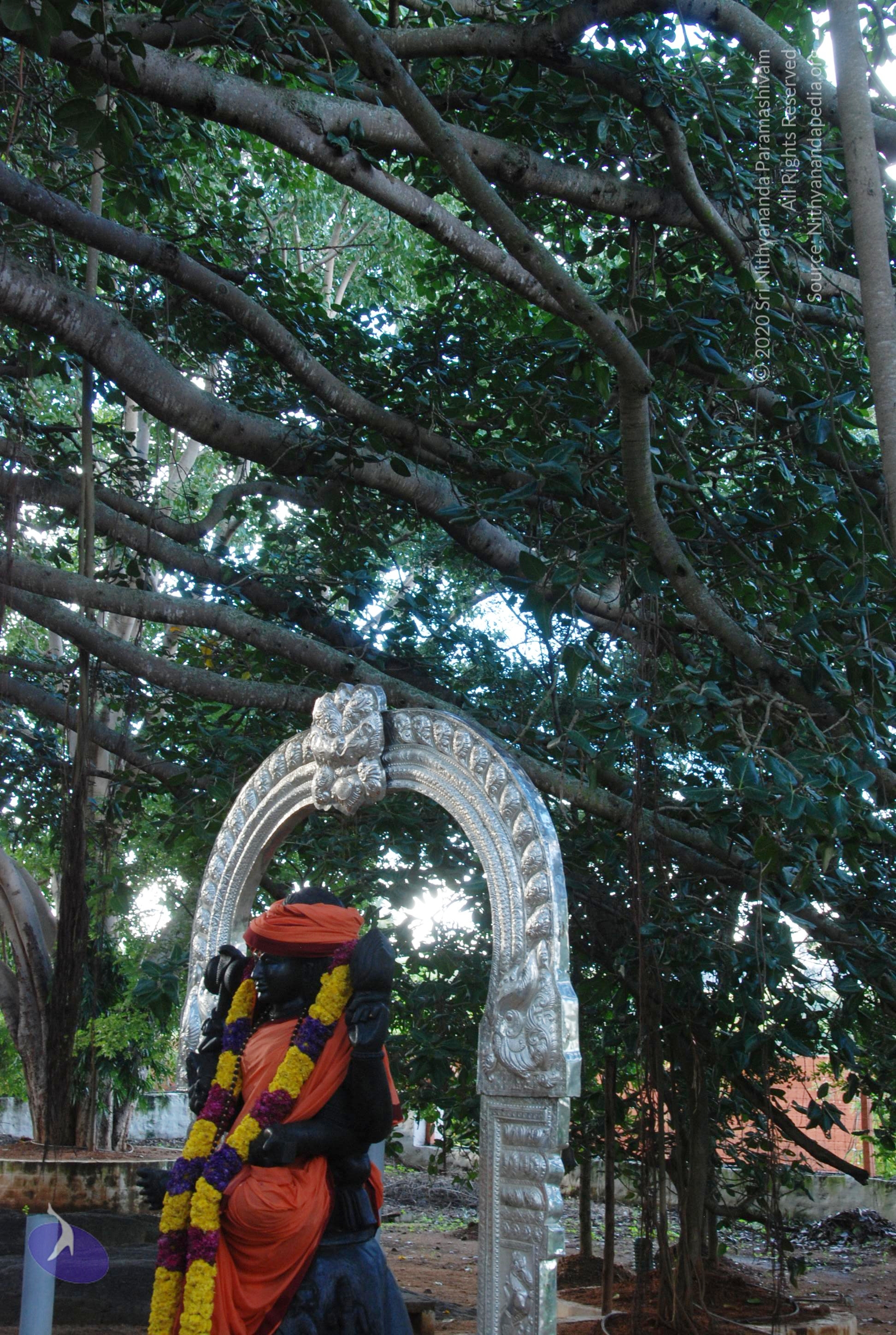 20101005_Photo_1017_DSC_7321_CMP_WM