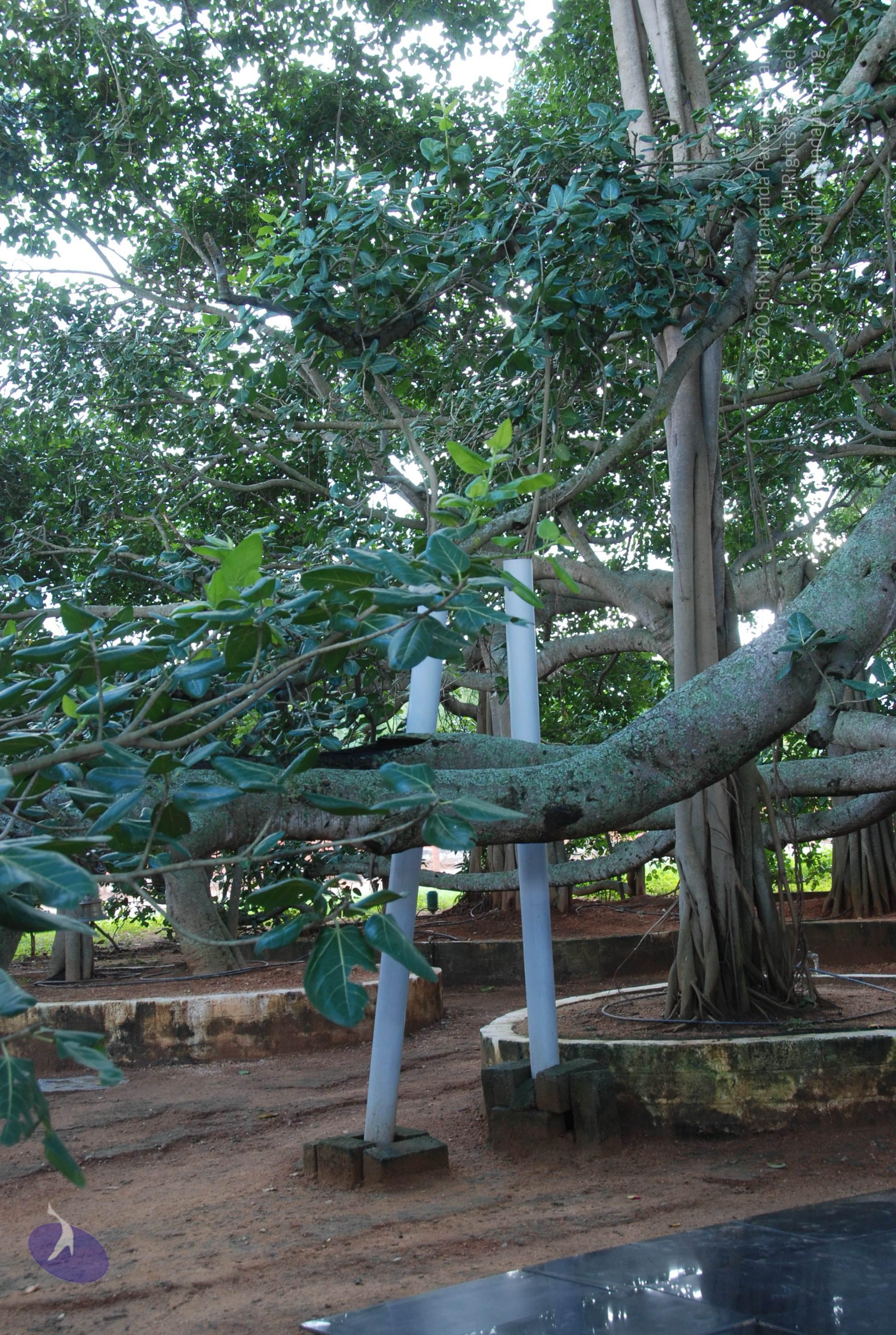 20101005_Photo_1018_DSC_7316_CMP_WM