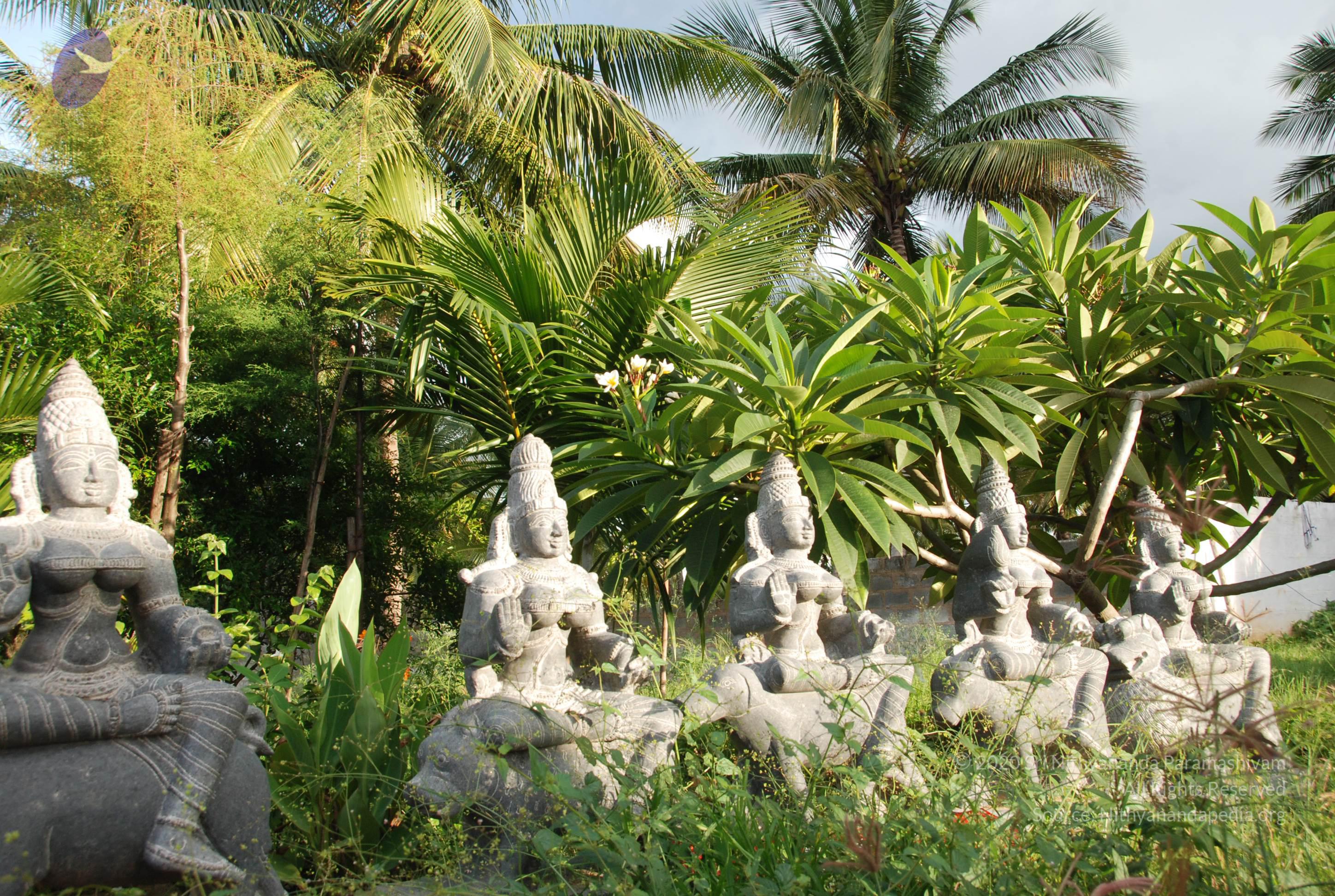 20101005_Photo_1020_DSC_7416_CMP_WM