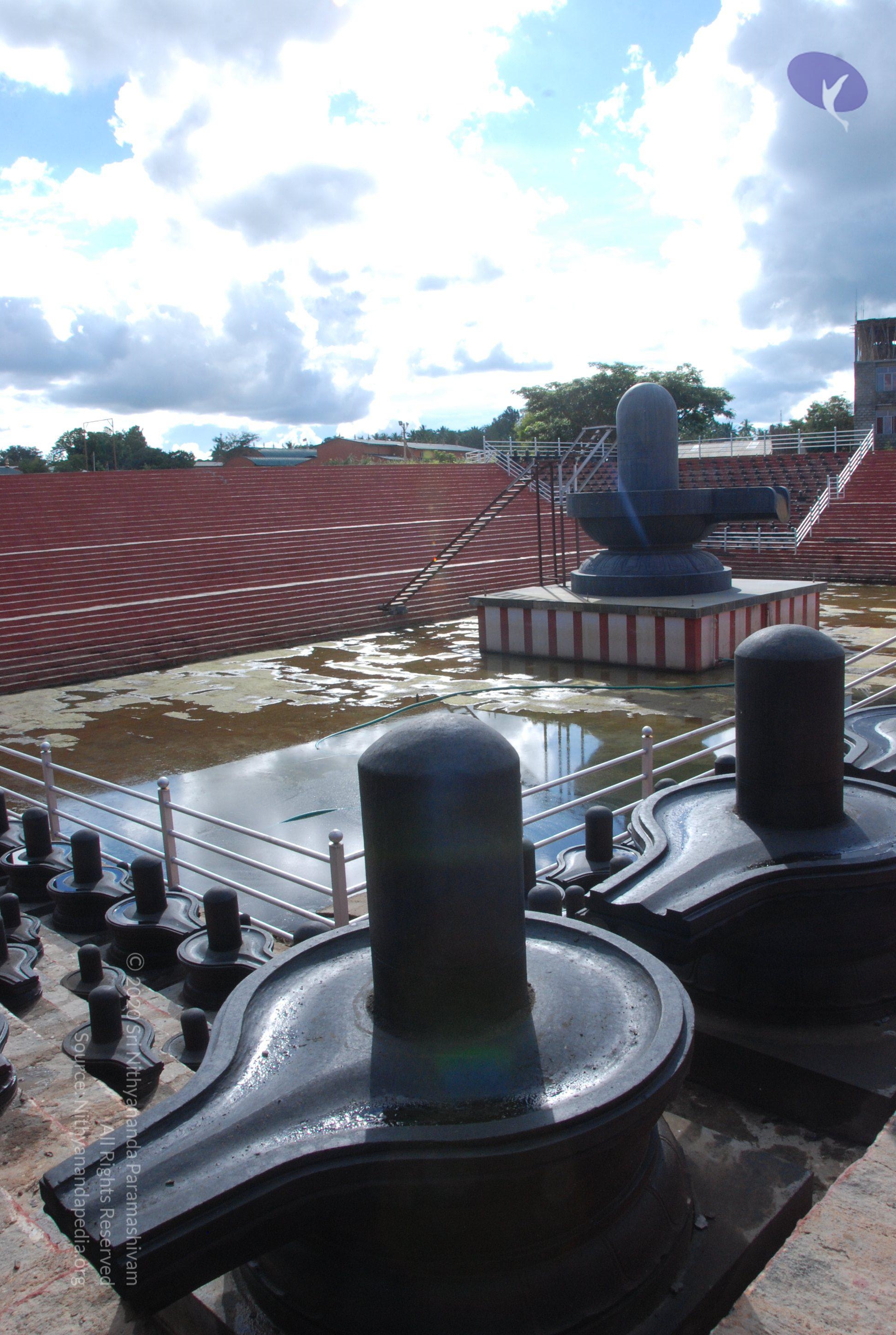 20101005_Photo_1022_DSC_7257_CMP_WM