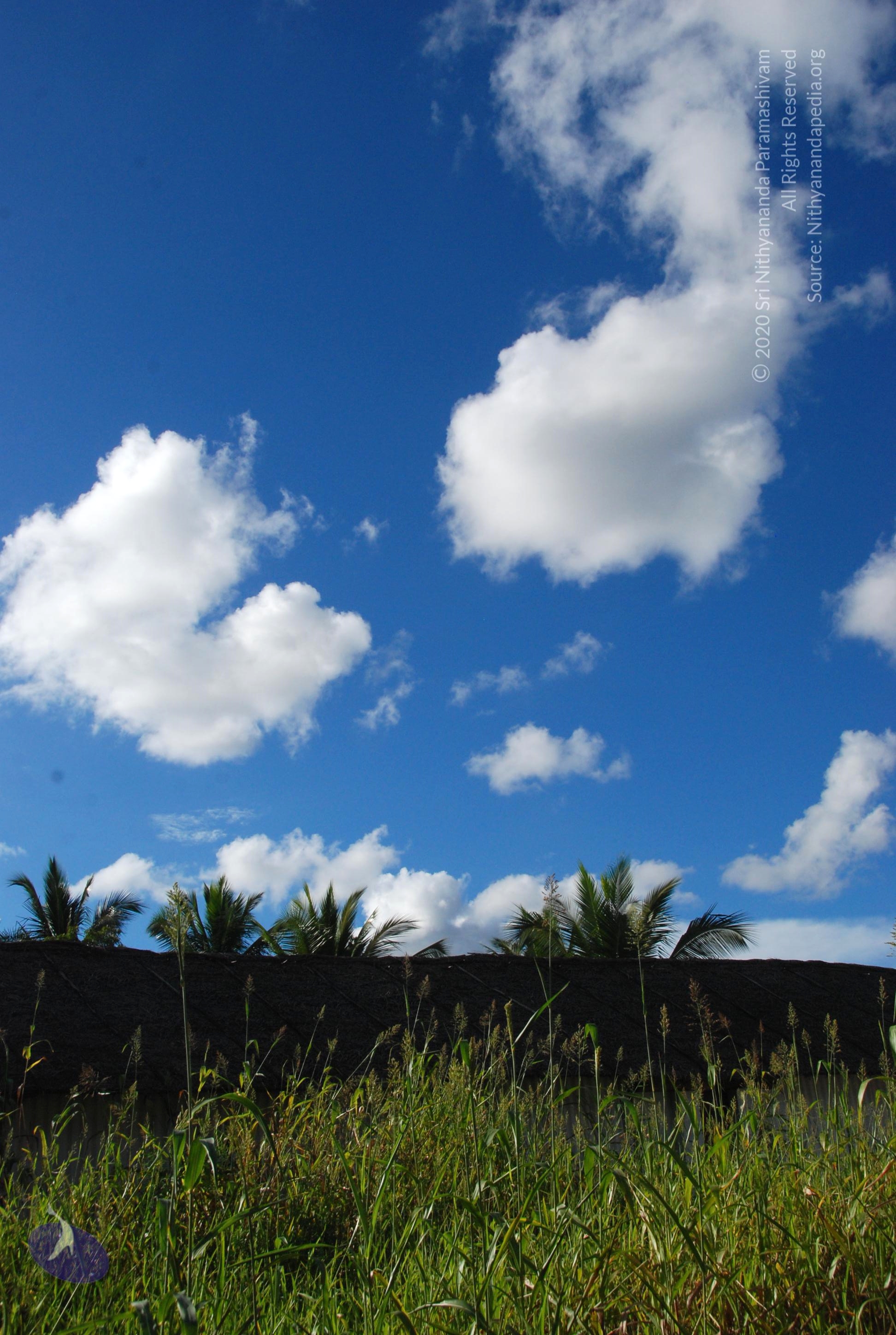 20101005_Photo_1026_DSC_7279_CMP_WM