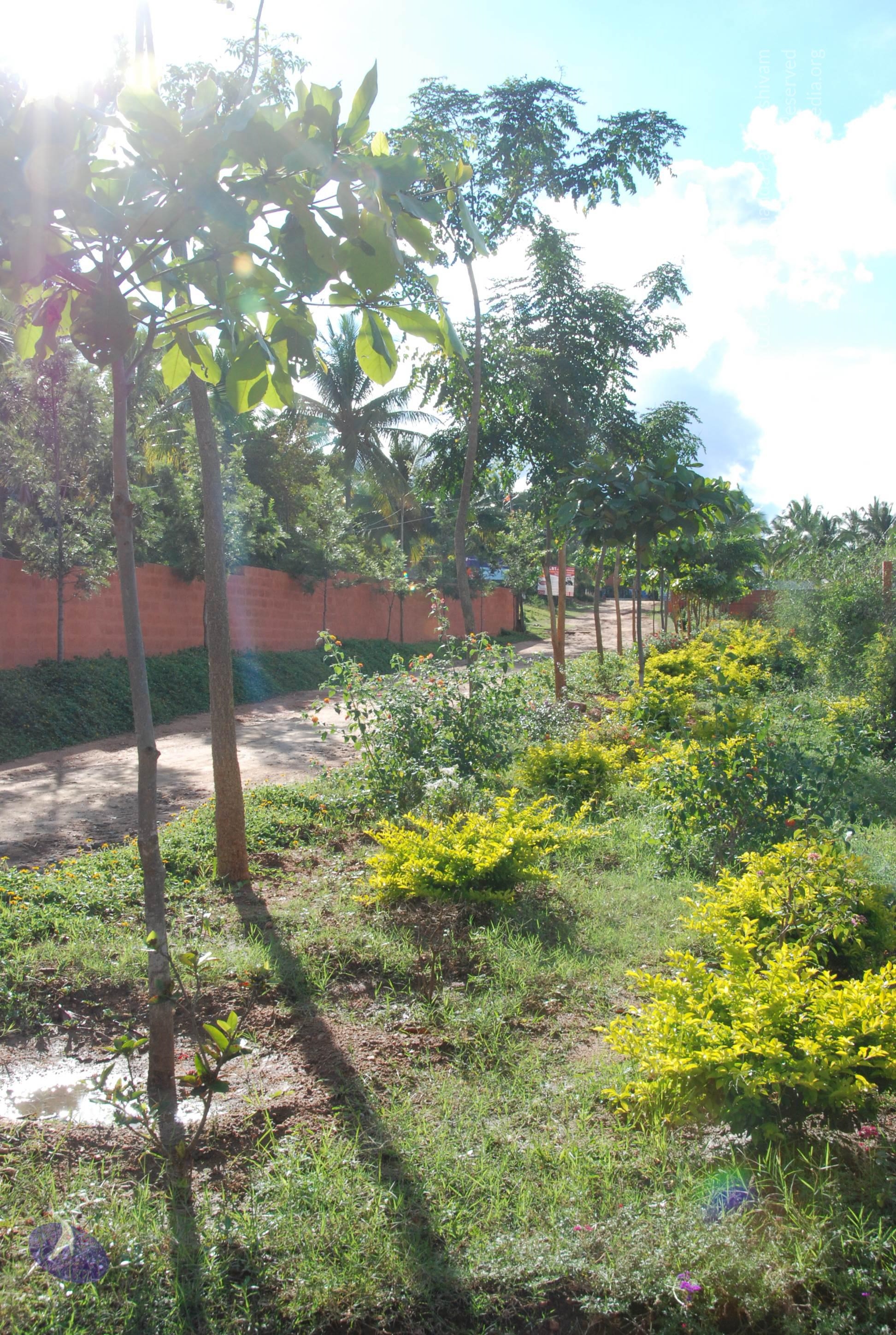 20101005_Photo_1027_DSC_7286_CMP_WM