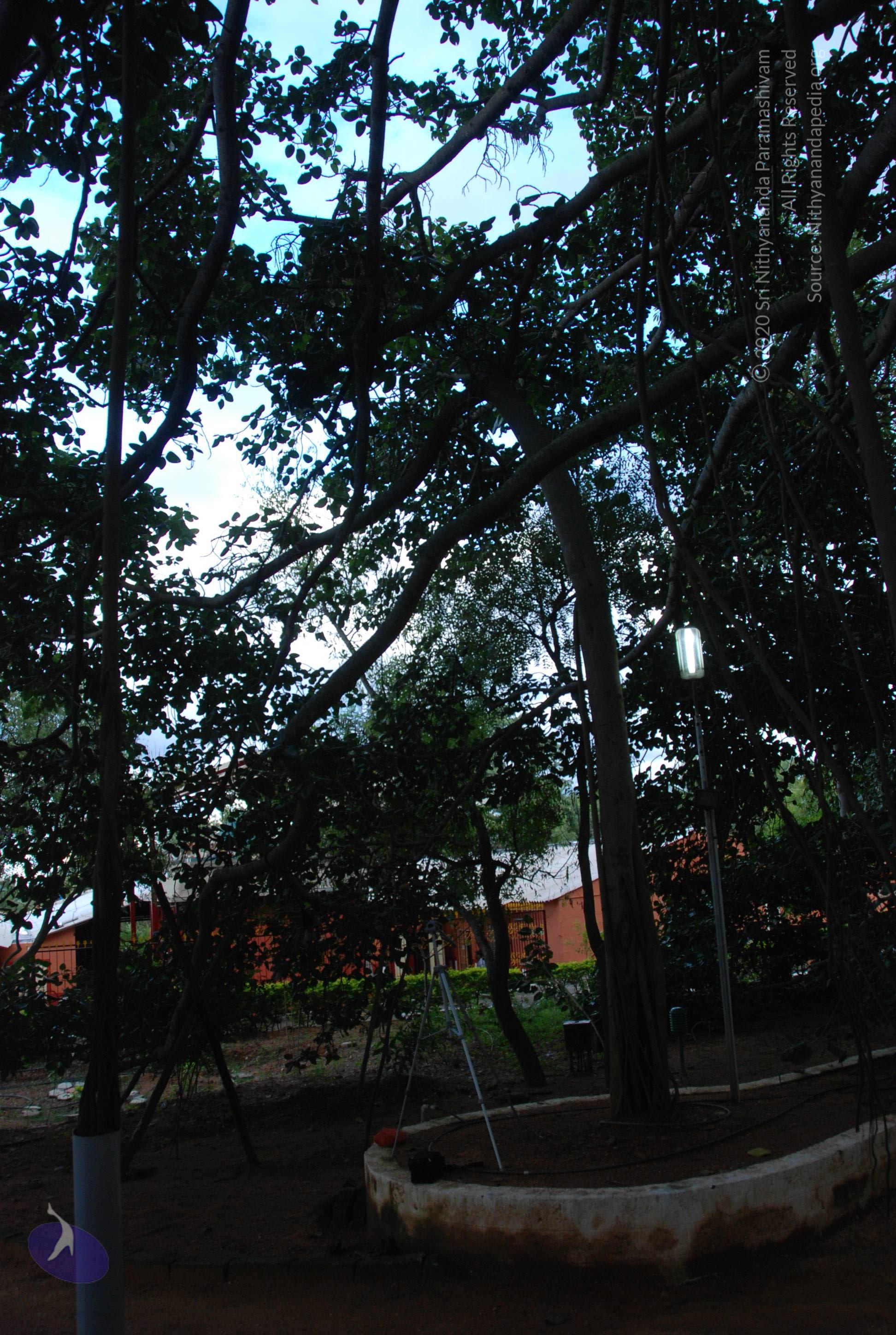 20101005_Photo_1031_DSC_7413_CMP_WM