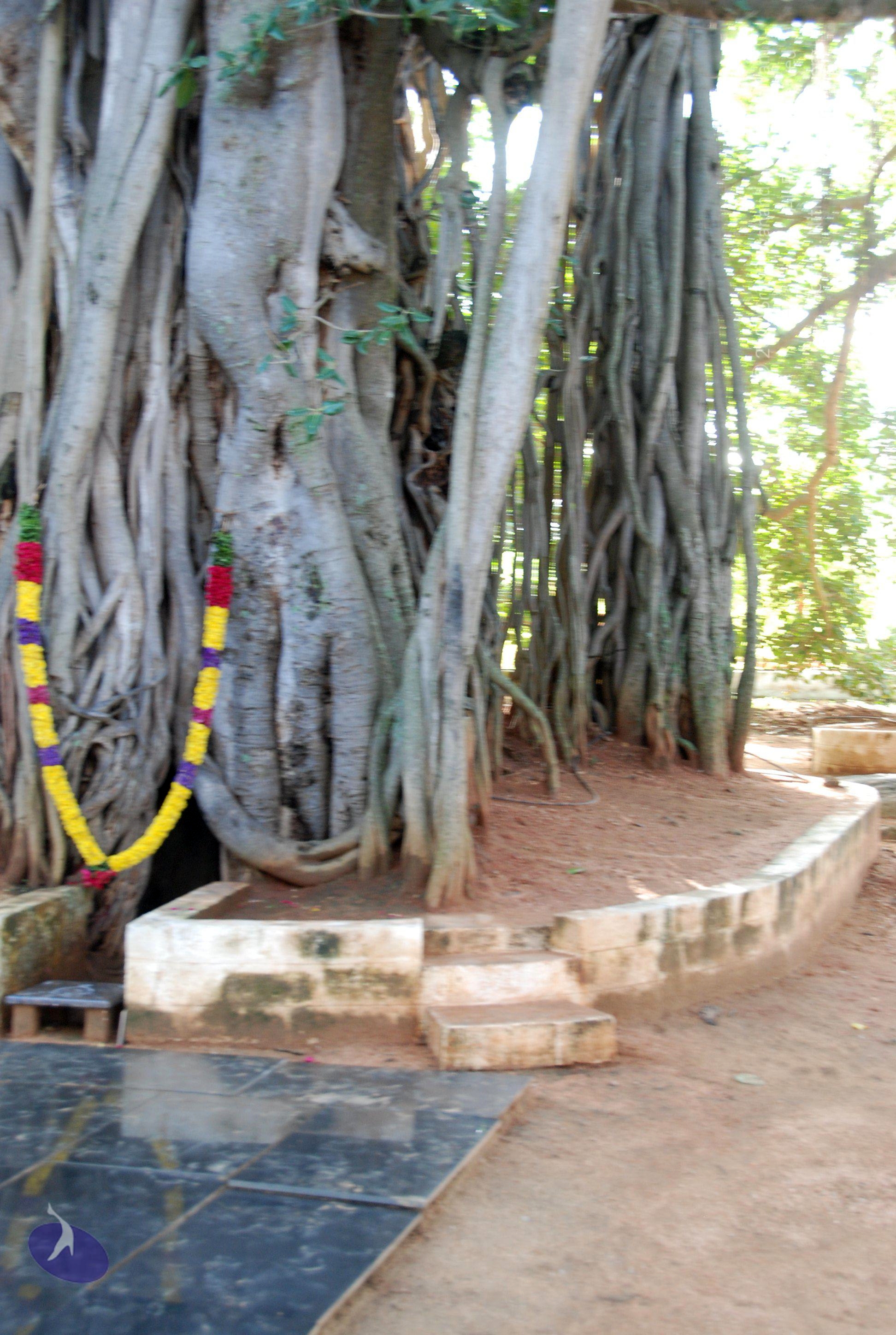 20101005_Photo_1032_DSC_7371_CMP_WM