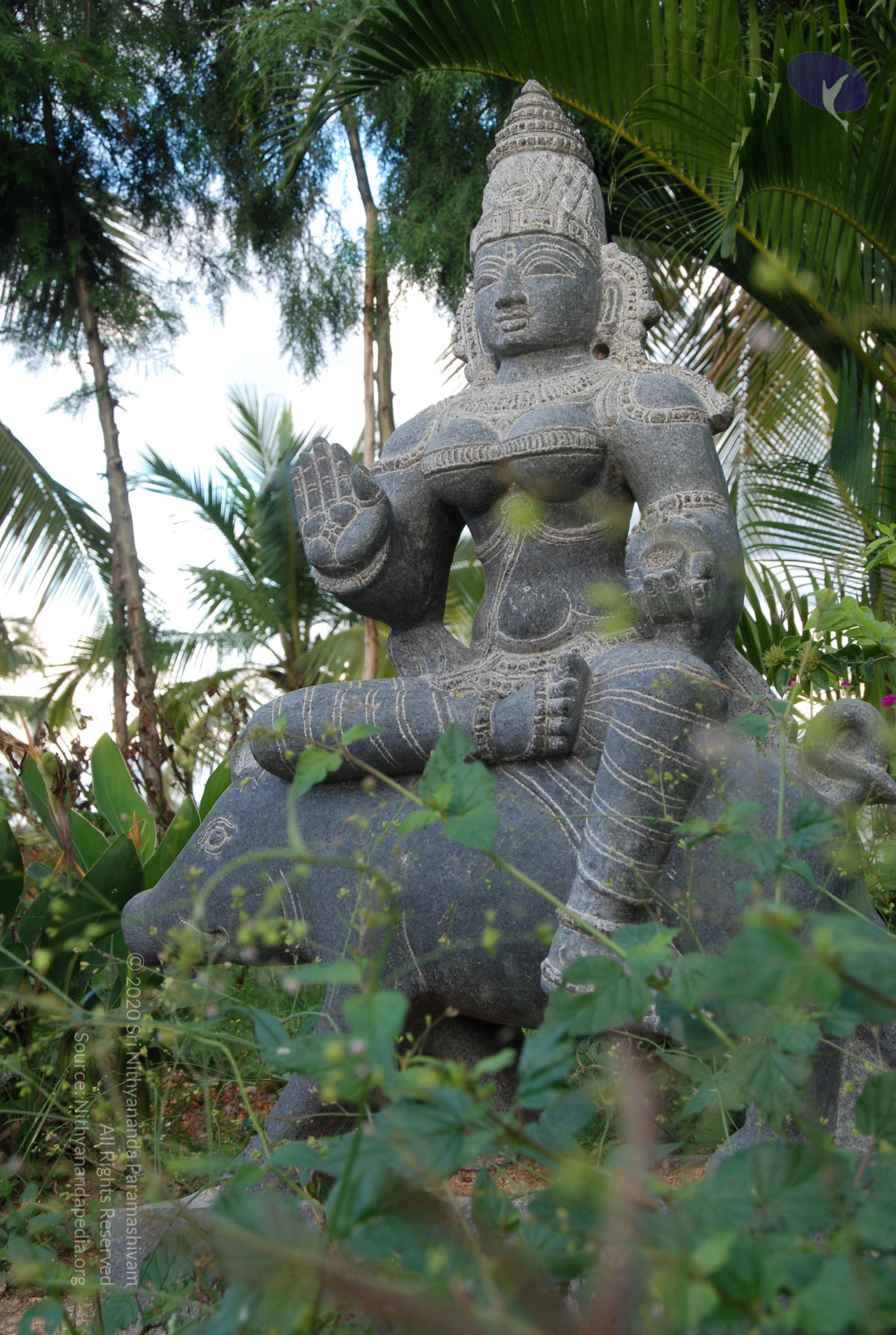 20101005_Photo_1033_DSC_7424_CMP_WM