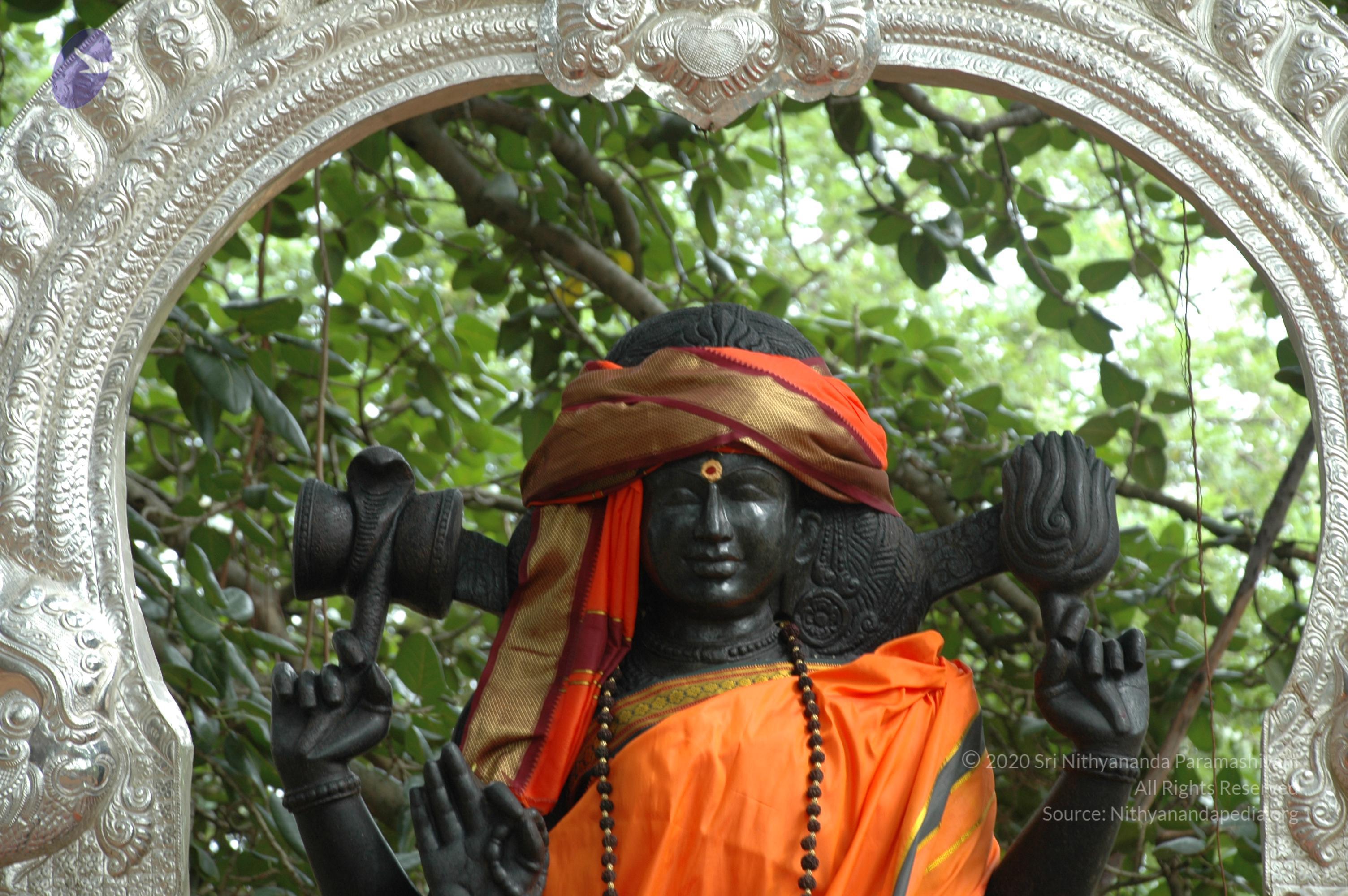 20101005_Photo_1035_DSC_7800_CMP_WM