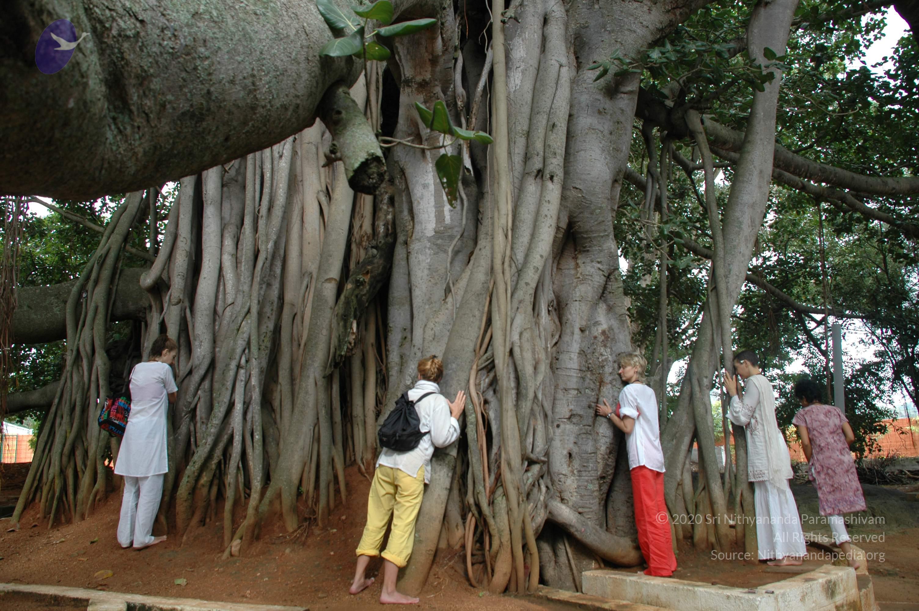 20101005_Photo_1037_DSC_7811_CMP_WM