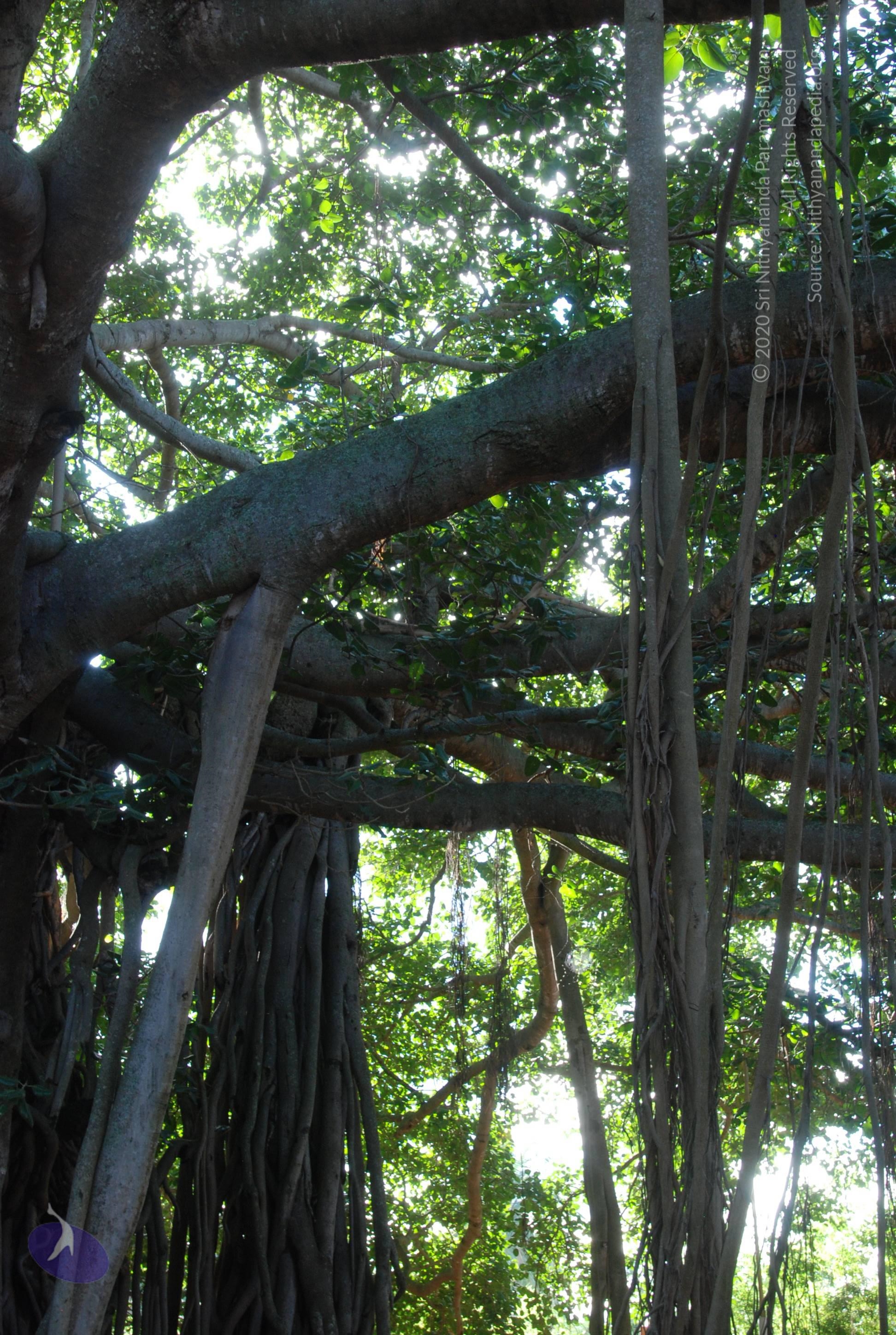 20101005_Photo_1039_DSC_7360_CMP_WM