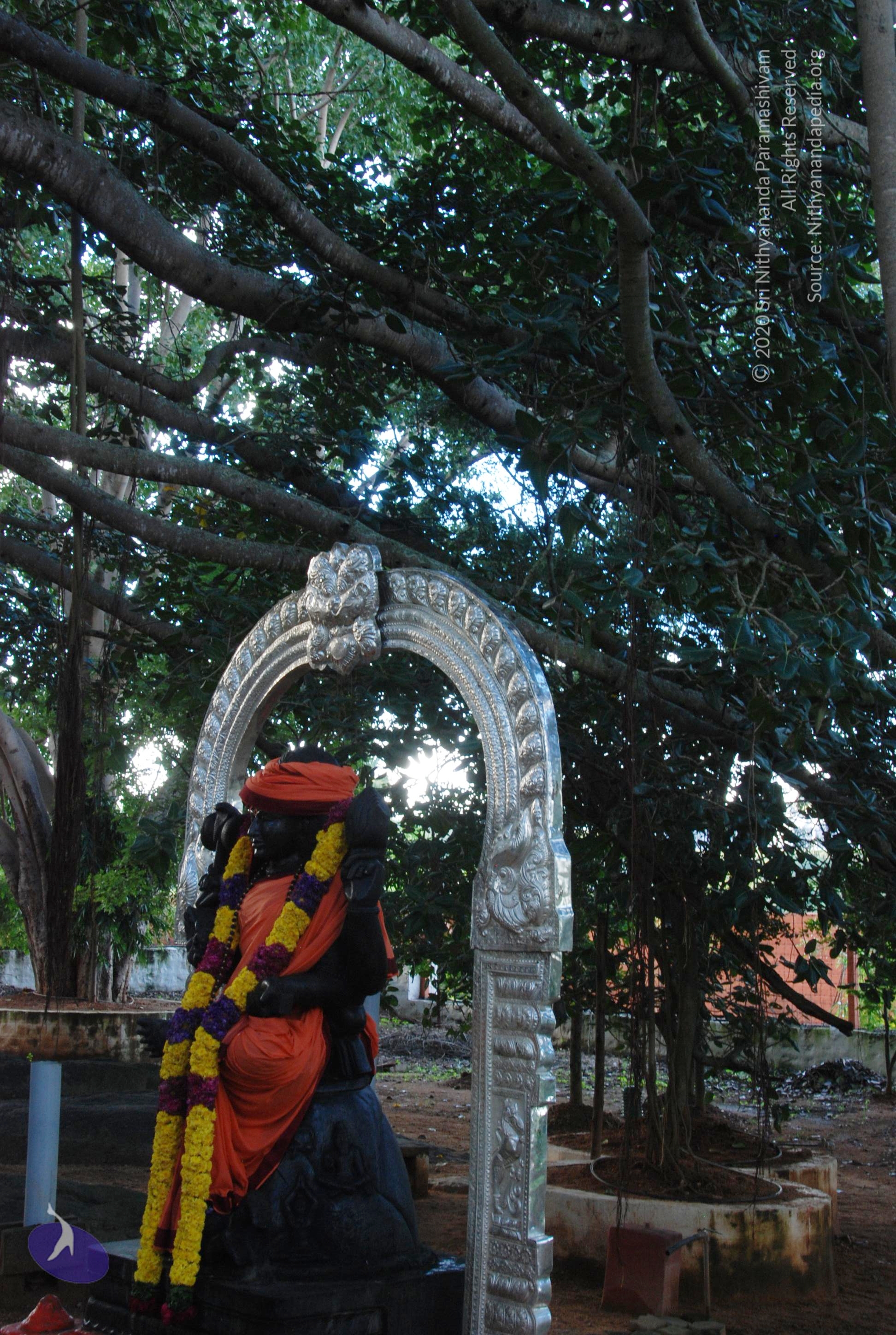 20101005_Photo_1048_DSC_7319_CMP_WM