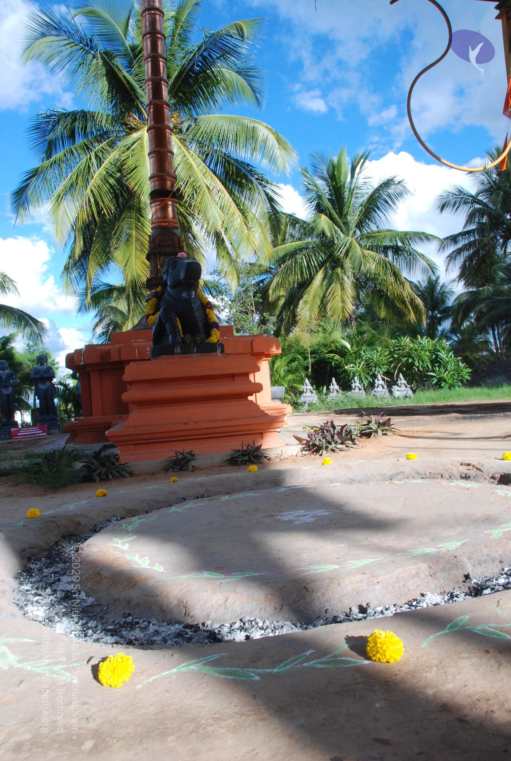 20101005_Photo_1050_DSC_7290_CMP_WM