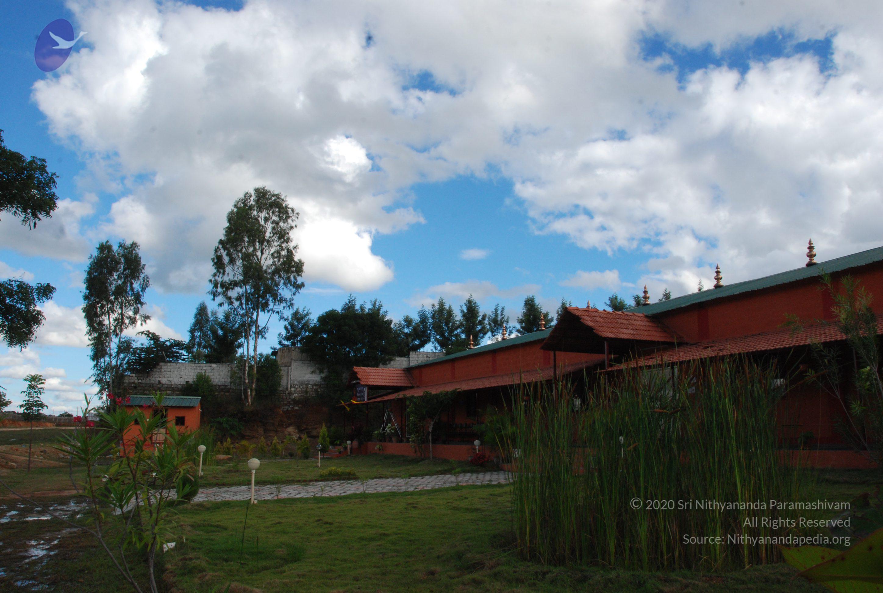 20101005_Photo_1051_DSC_7244_CMP_WM