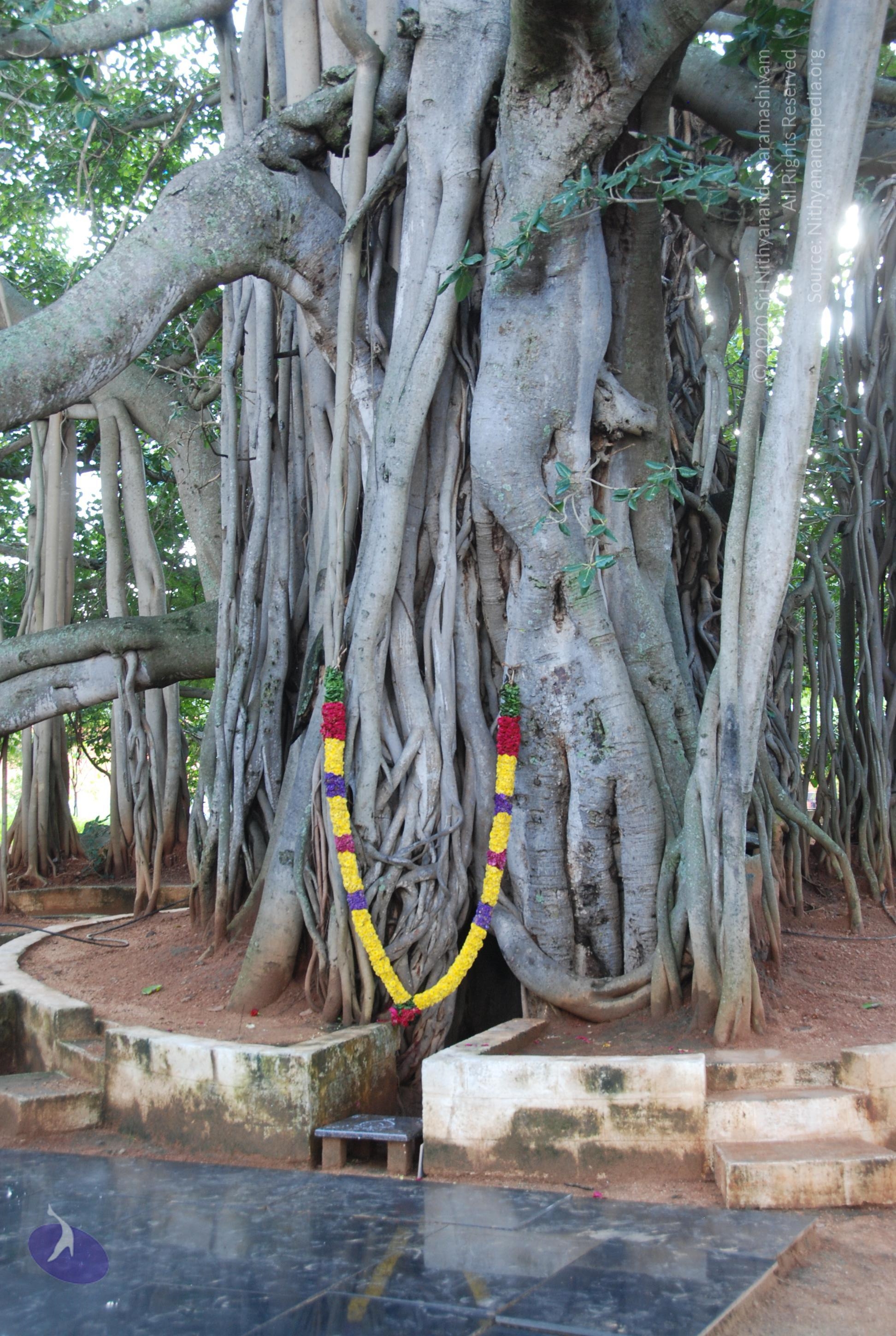 20101005_Photo_1057_DSC_7314_CMP_WM