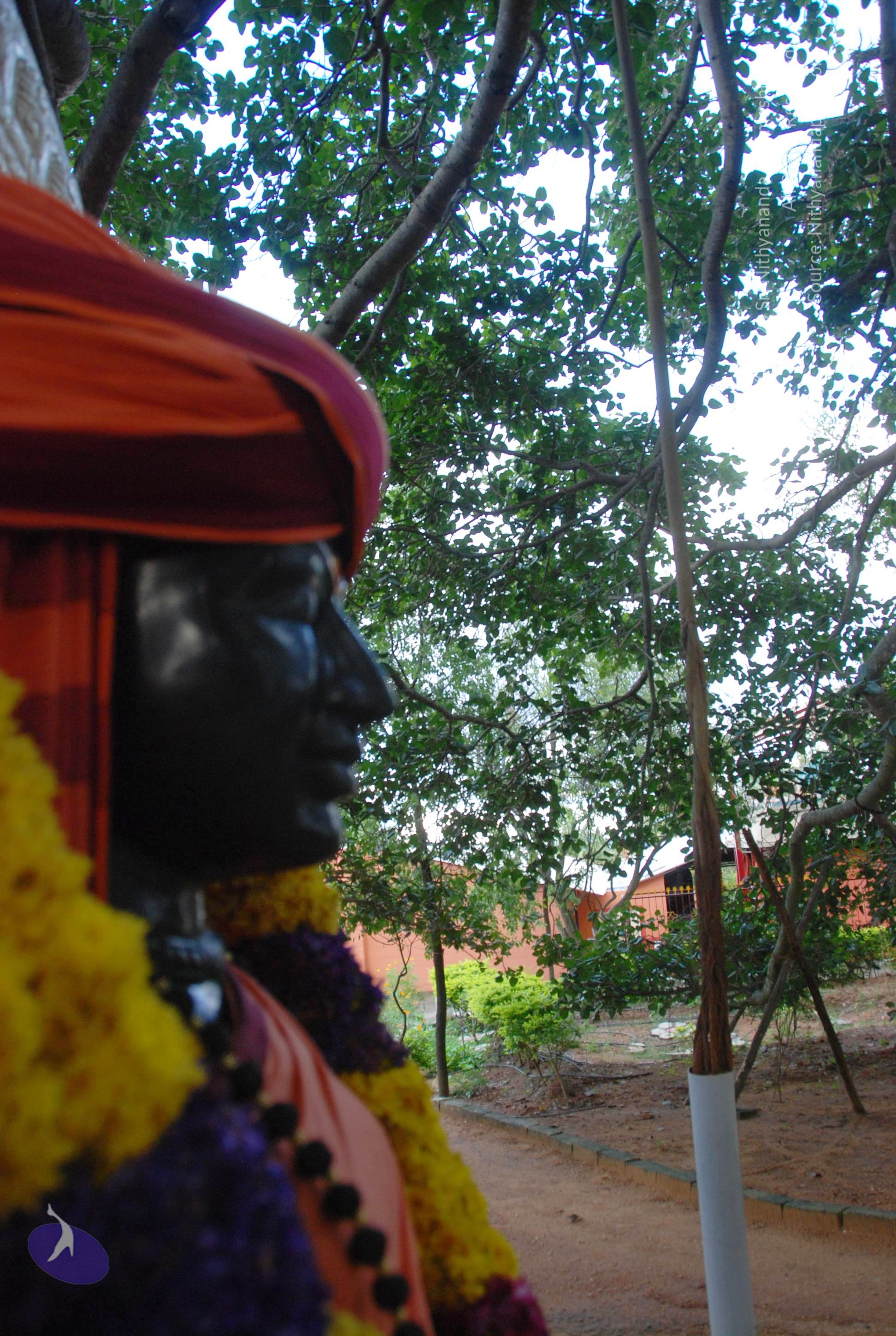 20101005_Photo_1059_DSC_7414_CMP_WM