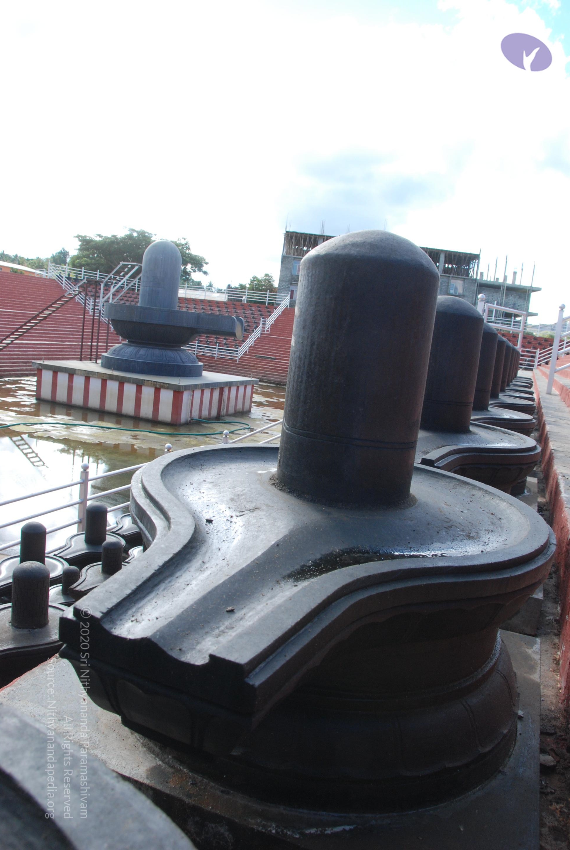 20101005_Photo_1062_DSC_7255_CMP_WM