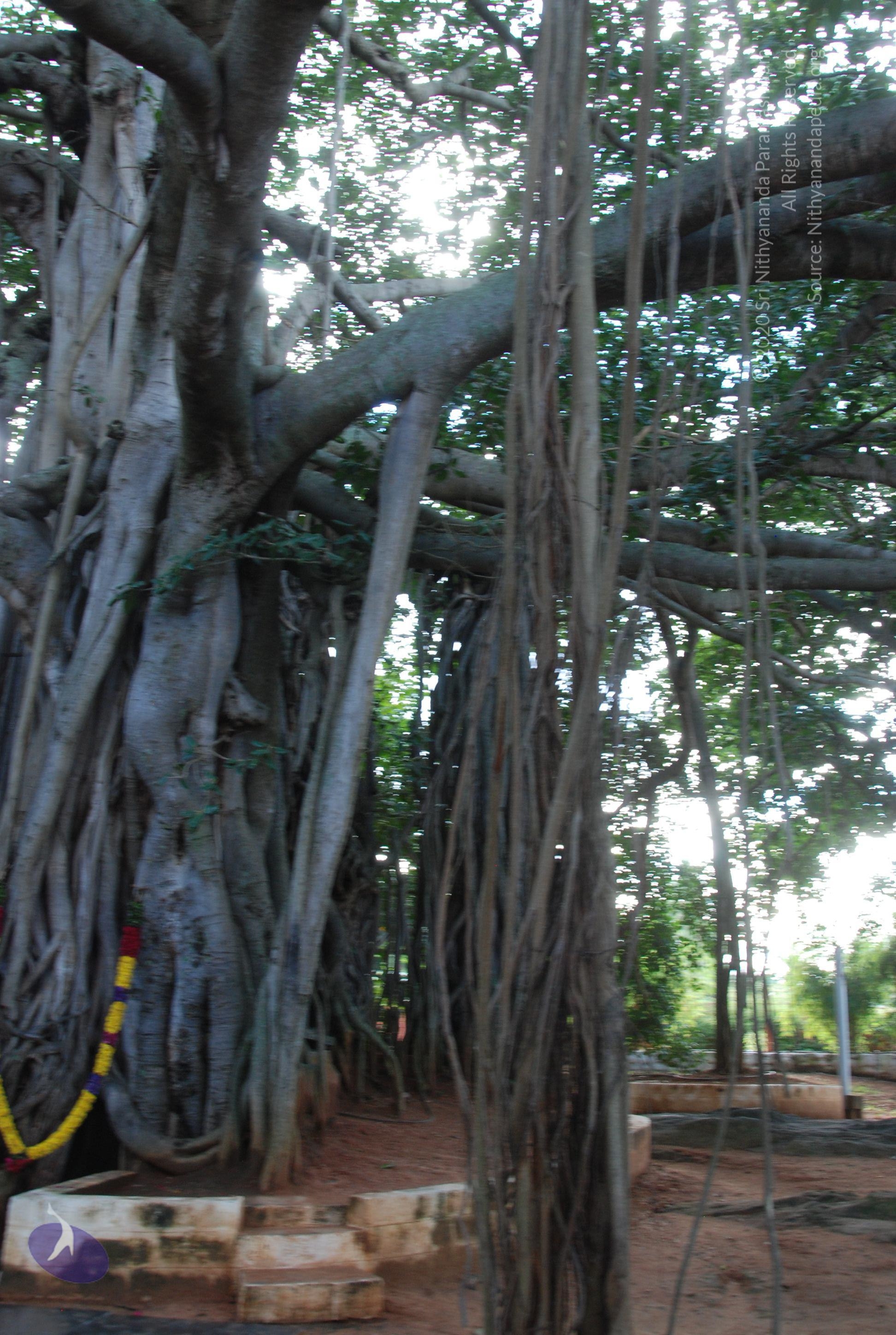 20101005_Photo_1063_DSC_7395_CMP_WM