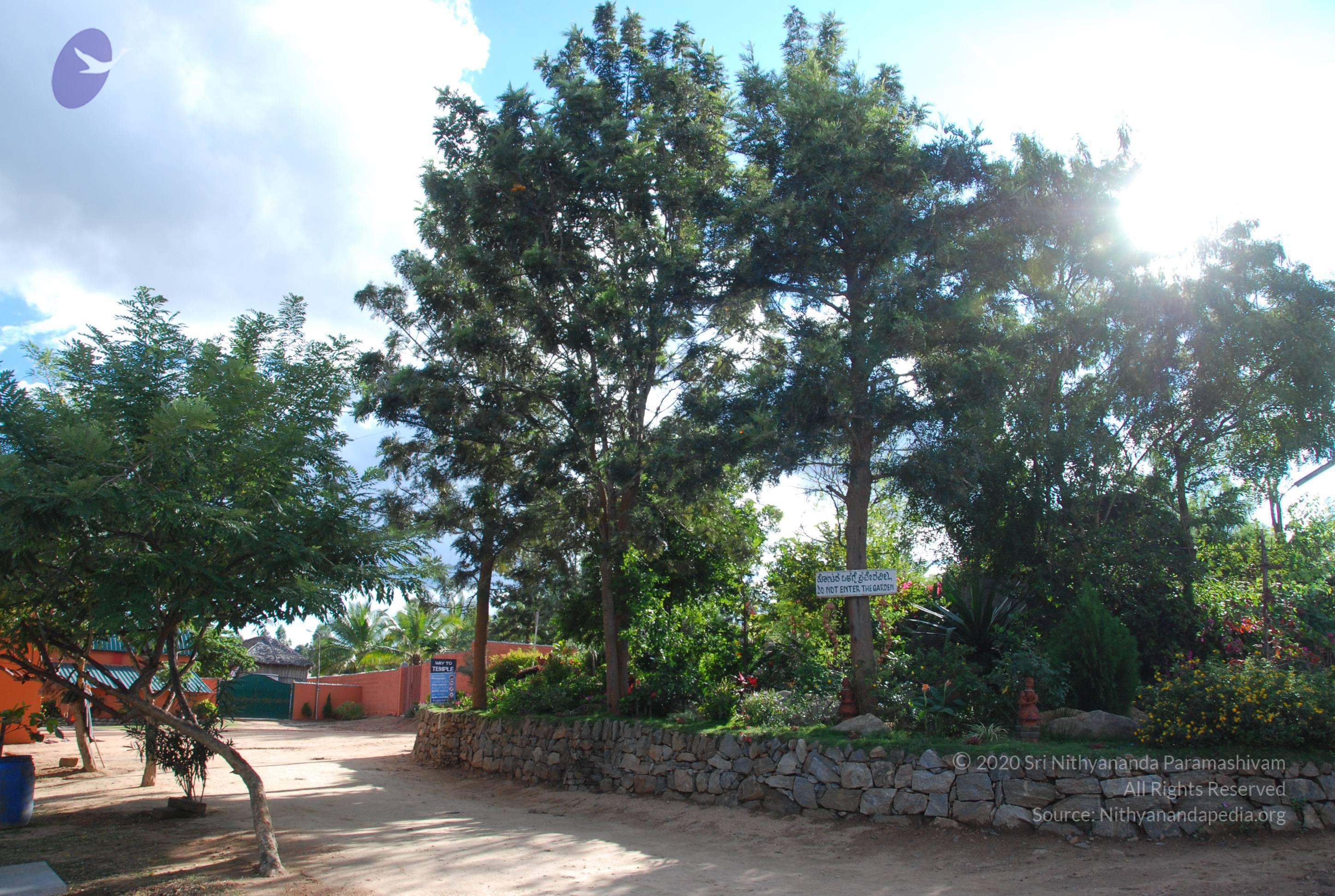 20101005_Photo_1064_DSC_7281_CMP_WM