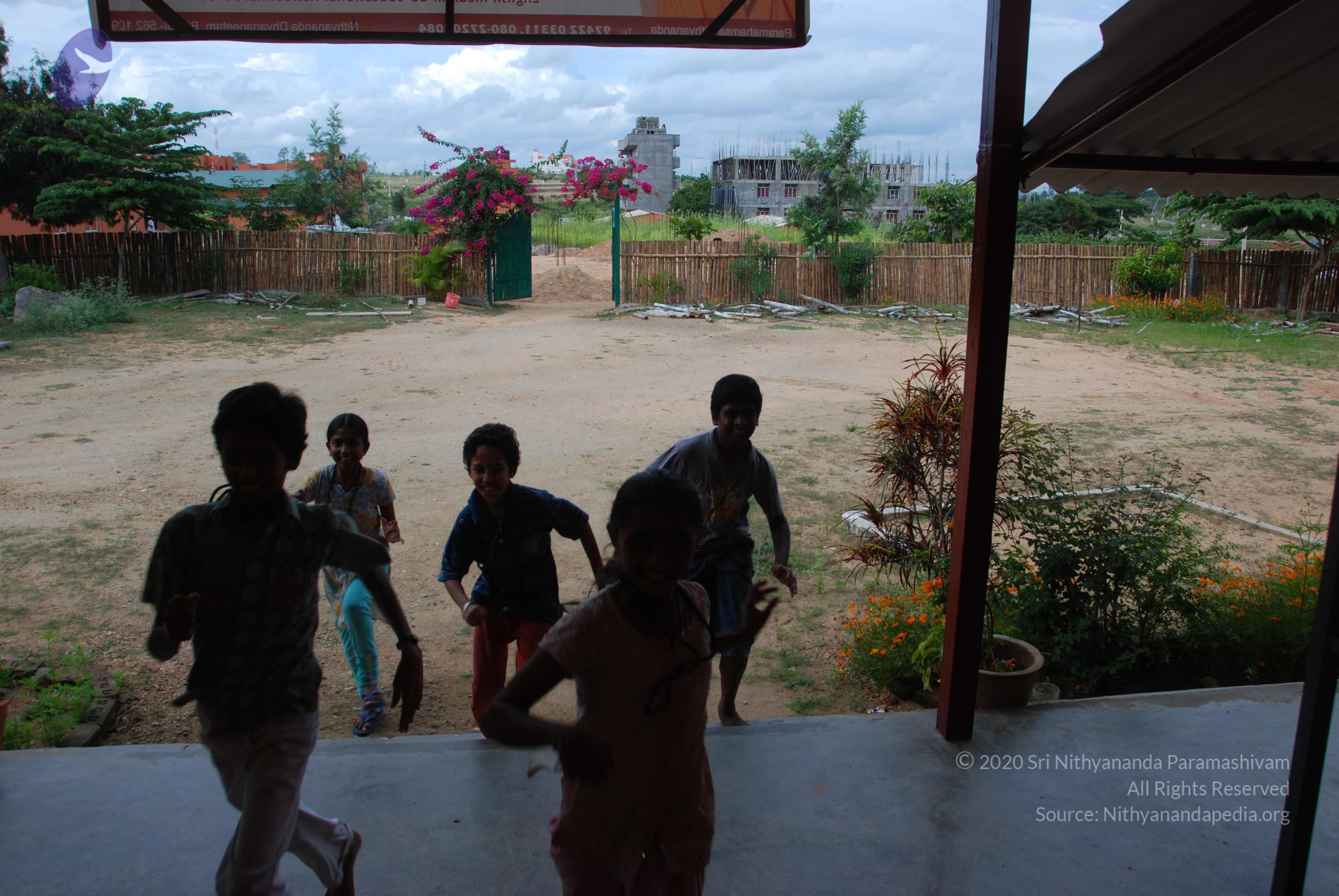 20101005_Photo_1065_DSC_6959_CMP_WM