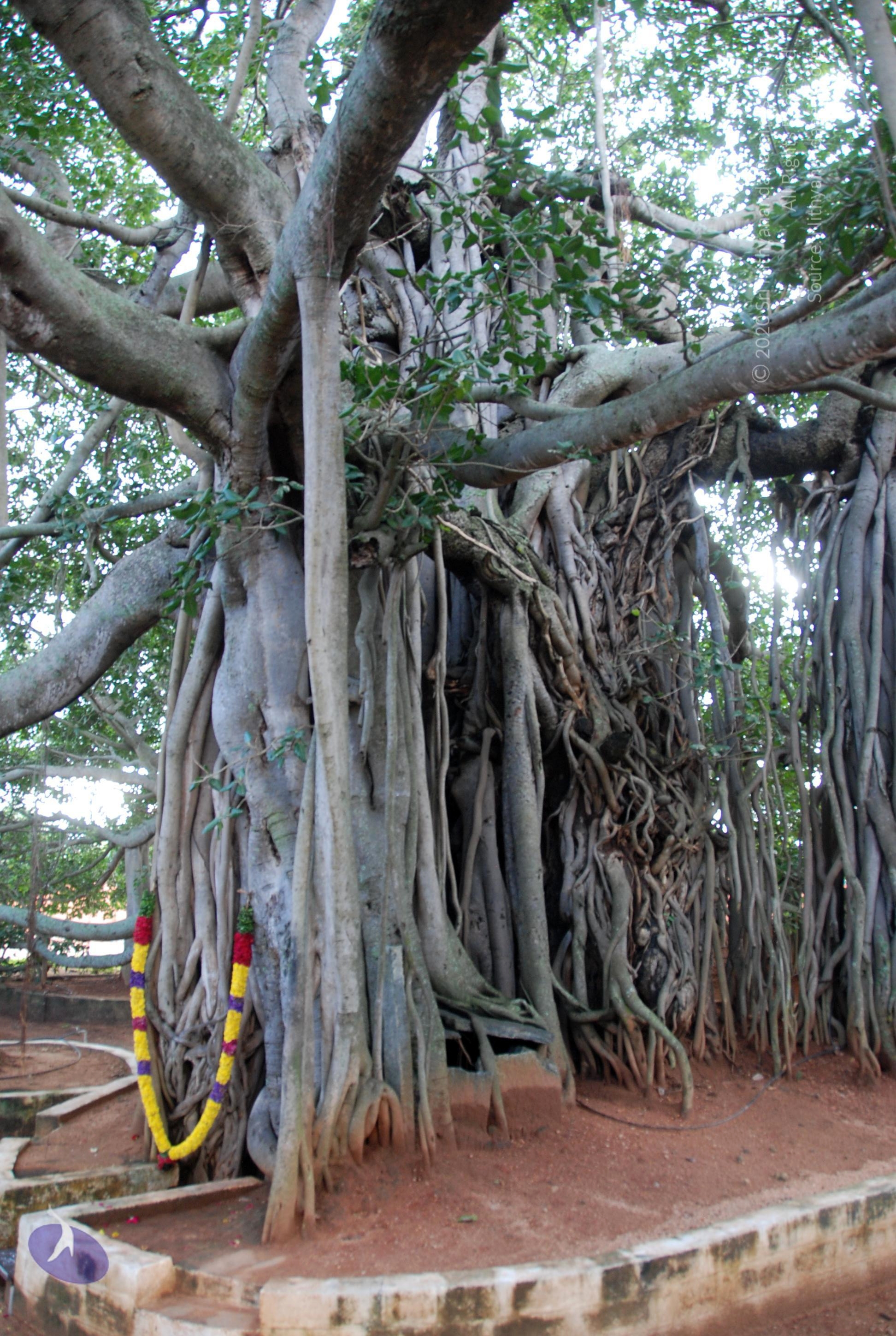 20101005_Photo_1071_DSC_7408_CMP_WM