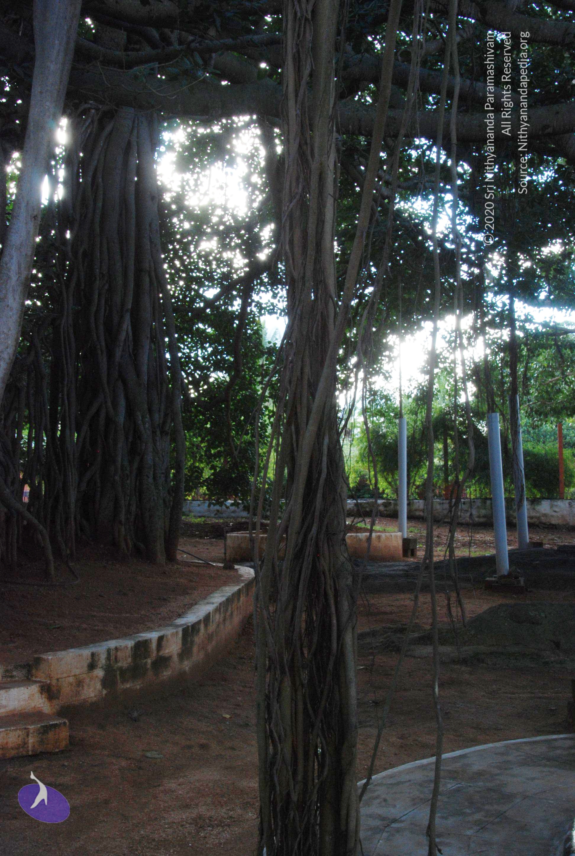 20101005_Photo_1072_DSC_7311_CMP_WM