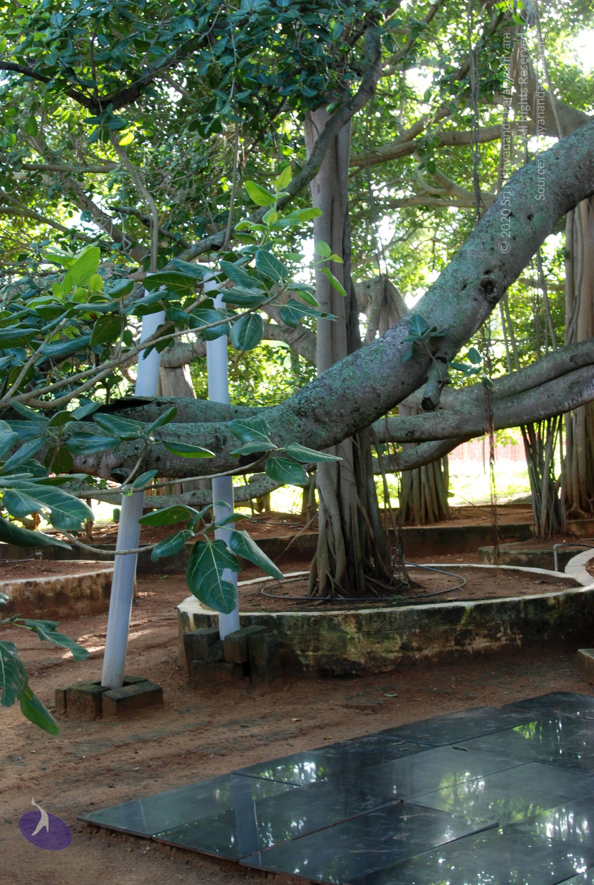 20101005_Photo_1074_DSC_7373_CMP_WM