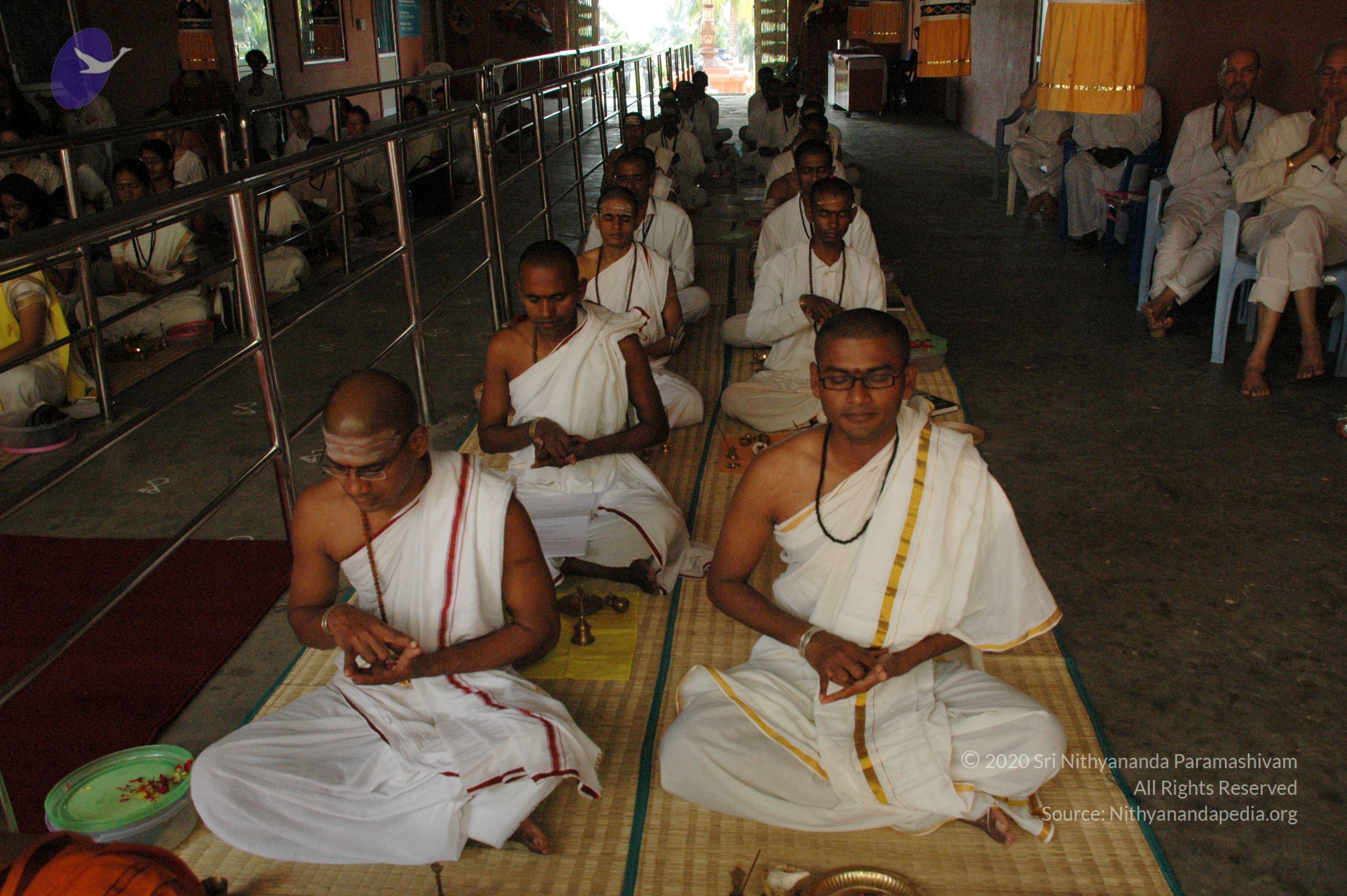 20101005_Photo_1081_DSC_7720_CMP_WM