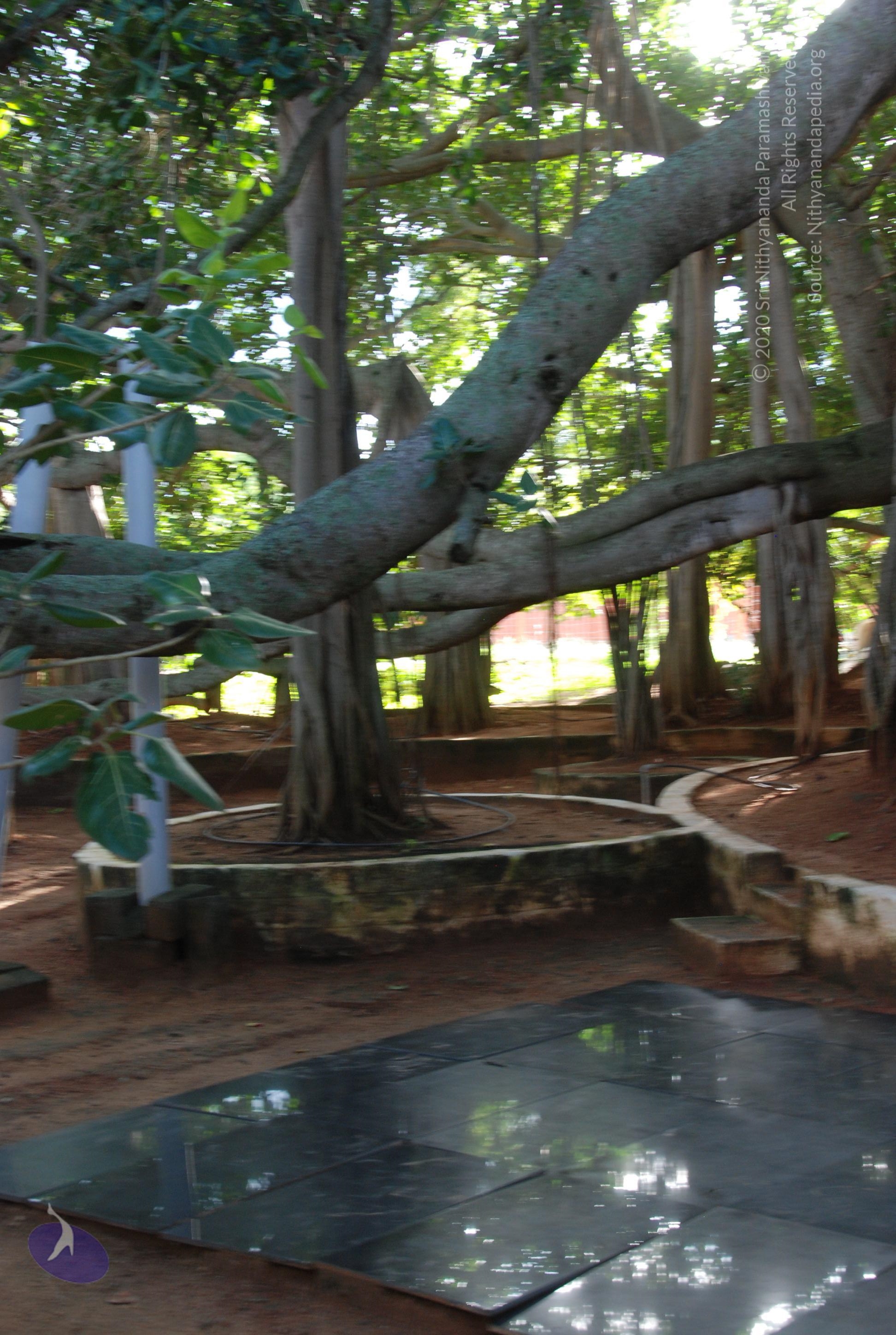 20101005_Photo_1086_DSC_7355_CMP_WM