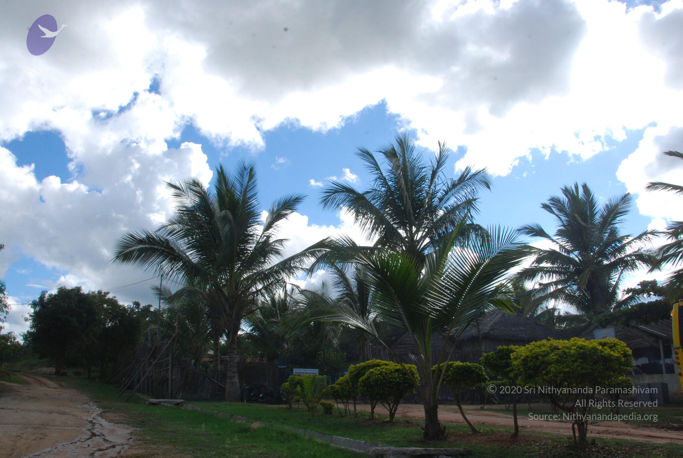 20101005_Photo_1088_DSC_7241_CMP_WM