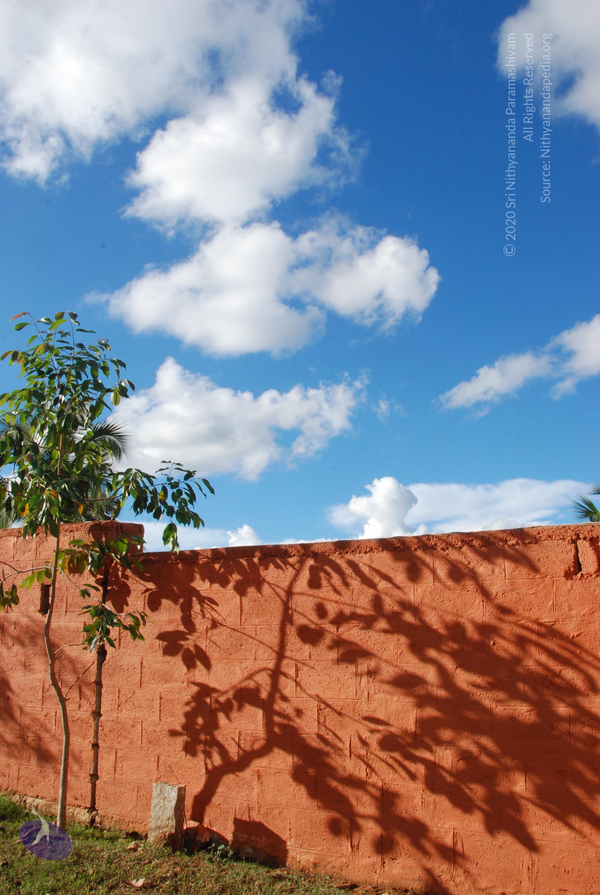 20101005_Photo_1090_DSC_7287_CMP_WM