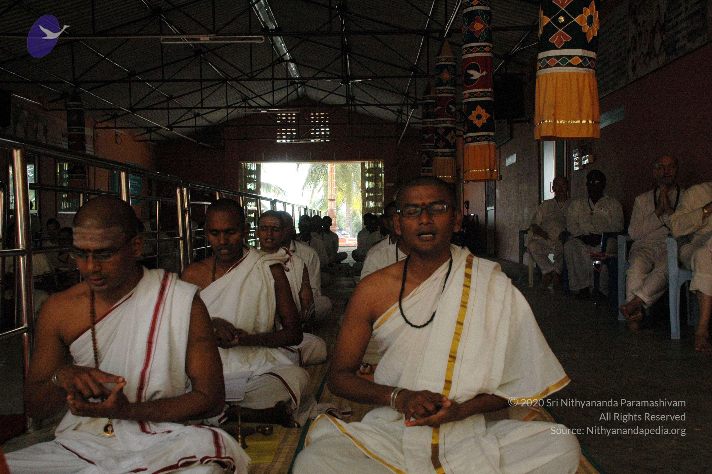 20101005_Photo_1095_DSC_7719_CMP_WM