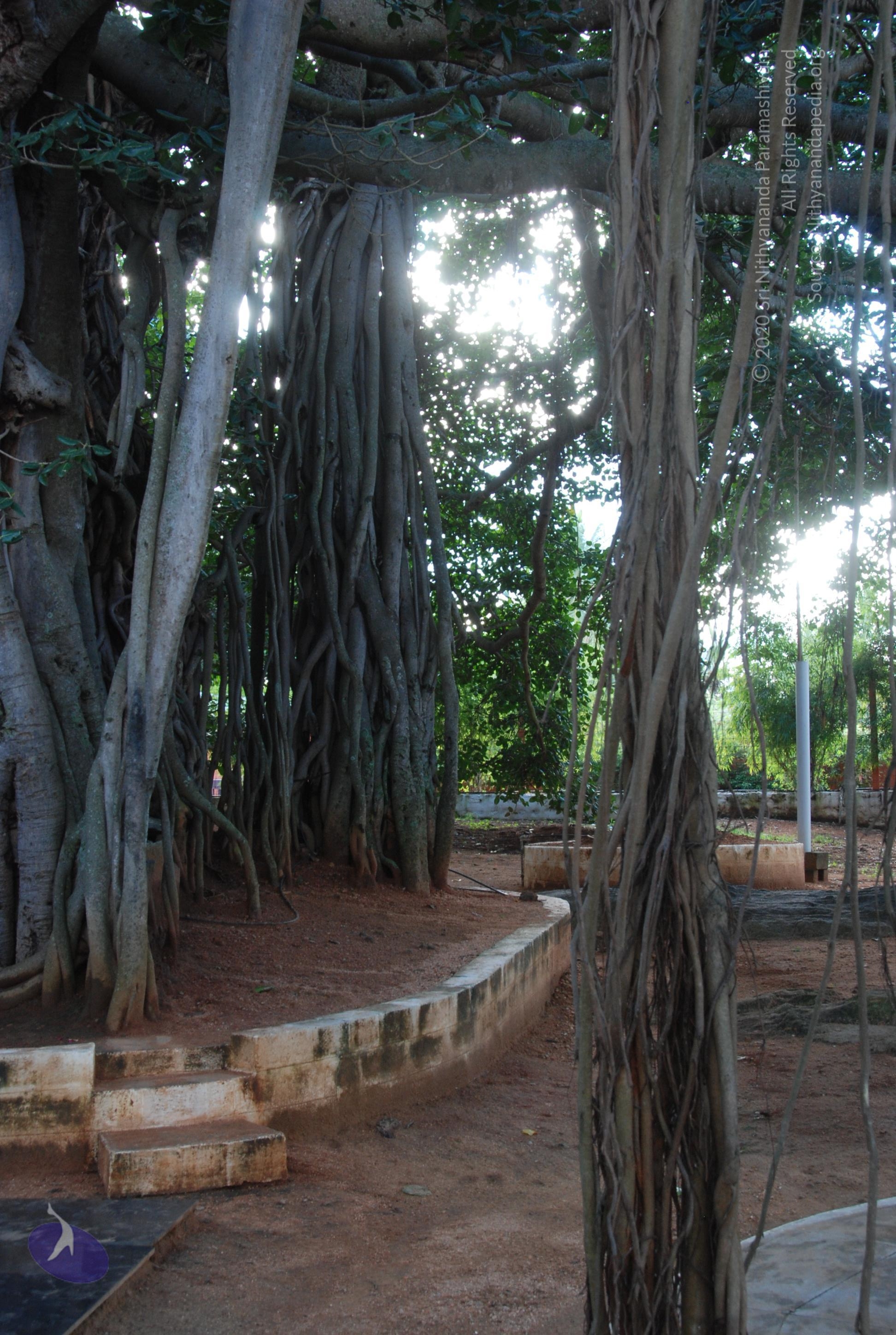 20101005_Photo_1096_DSC_7312_CMP_WM