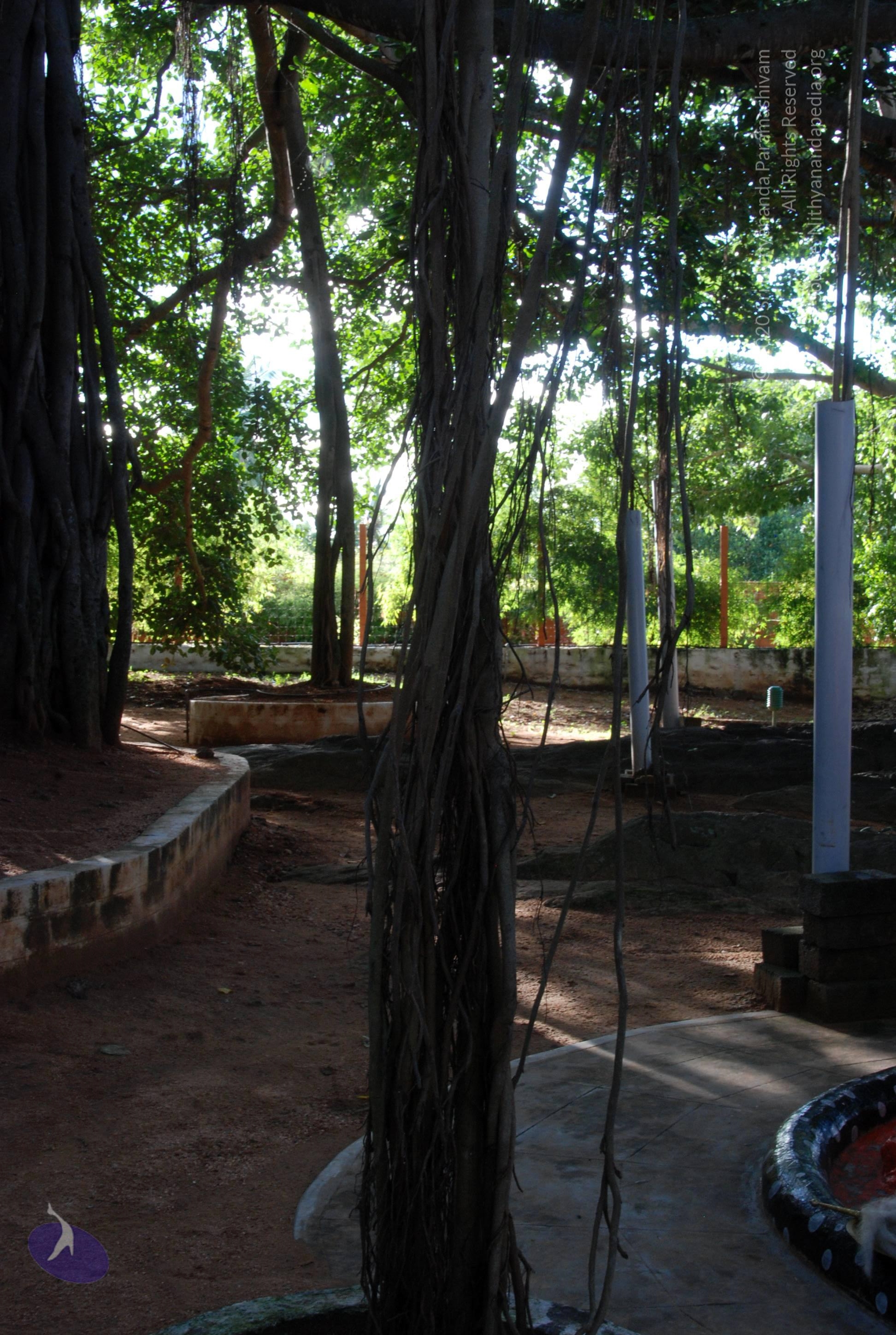 20101005_Photo_1098_DSC_7370_CMP_WM