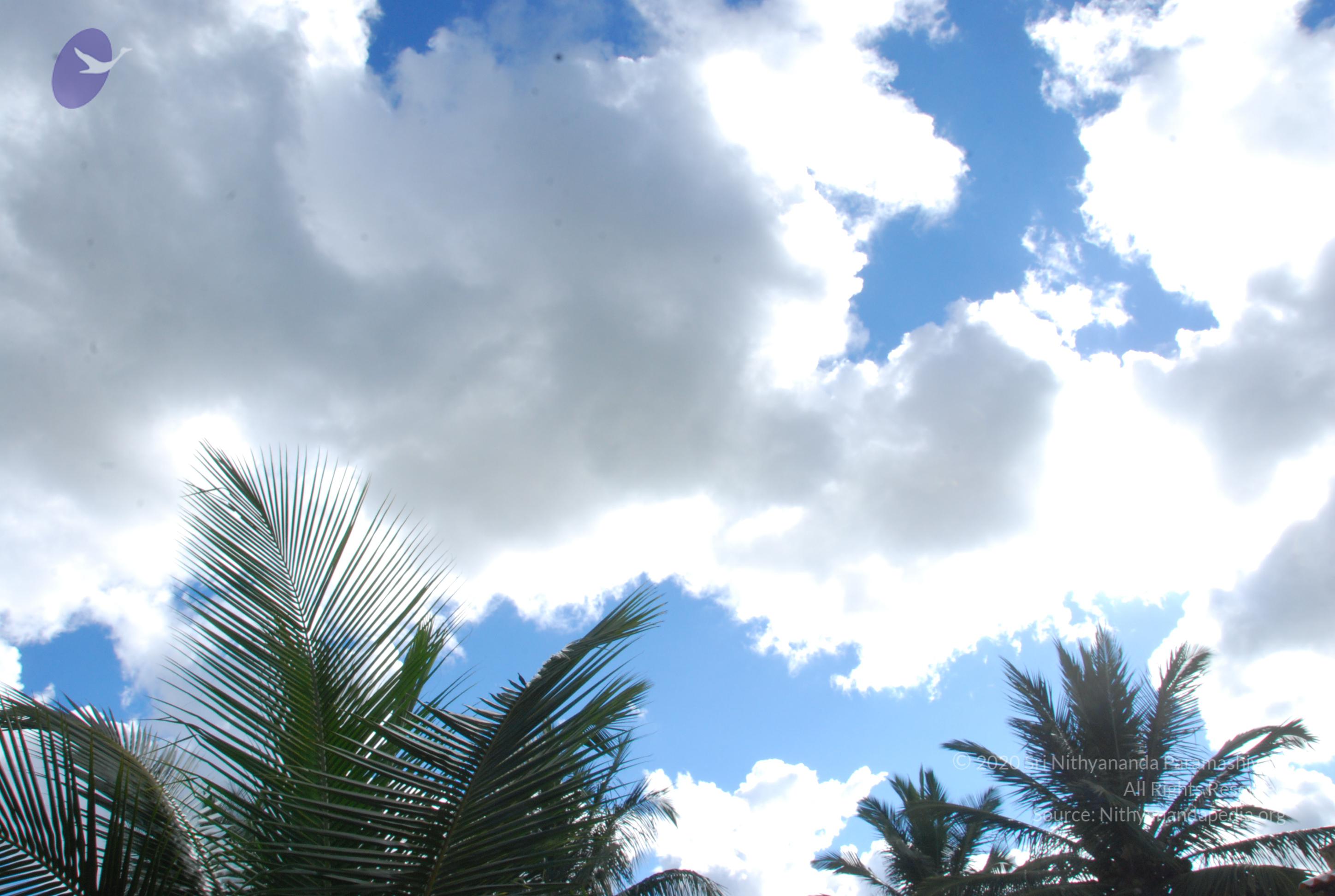 20101005_Photo_1102_DSC_7242_CMP_WM