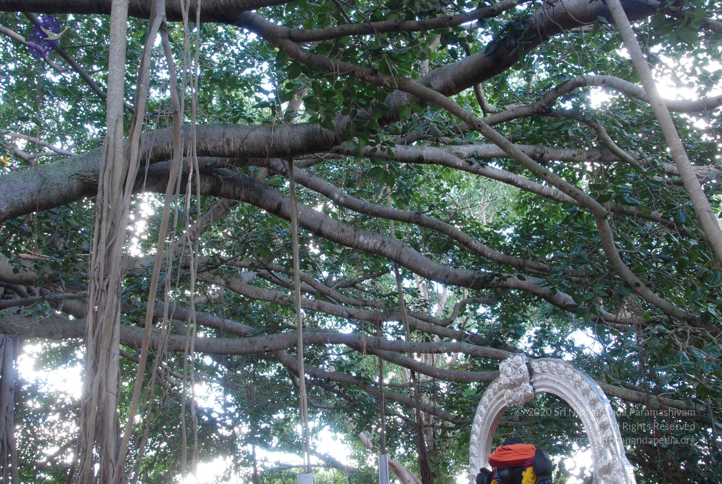 20101005_Photo_1103_DSC_7303_CMP_WM