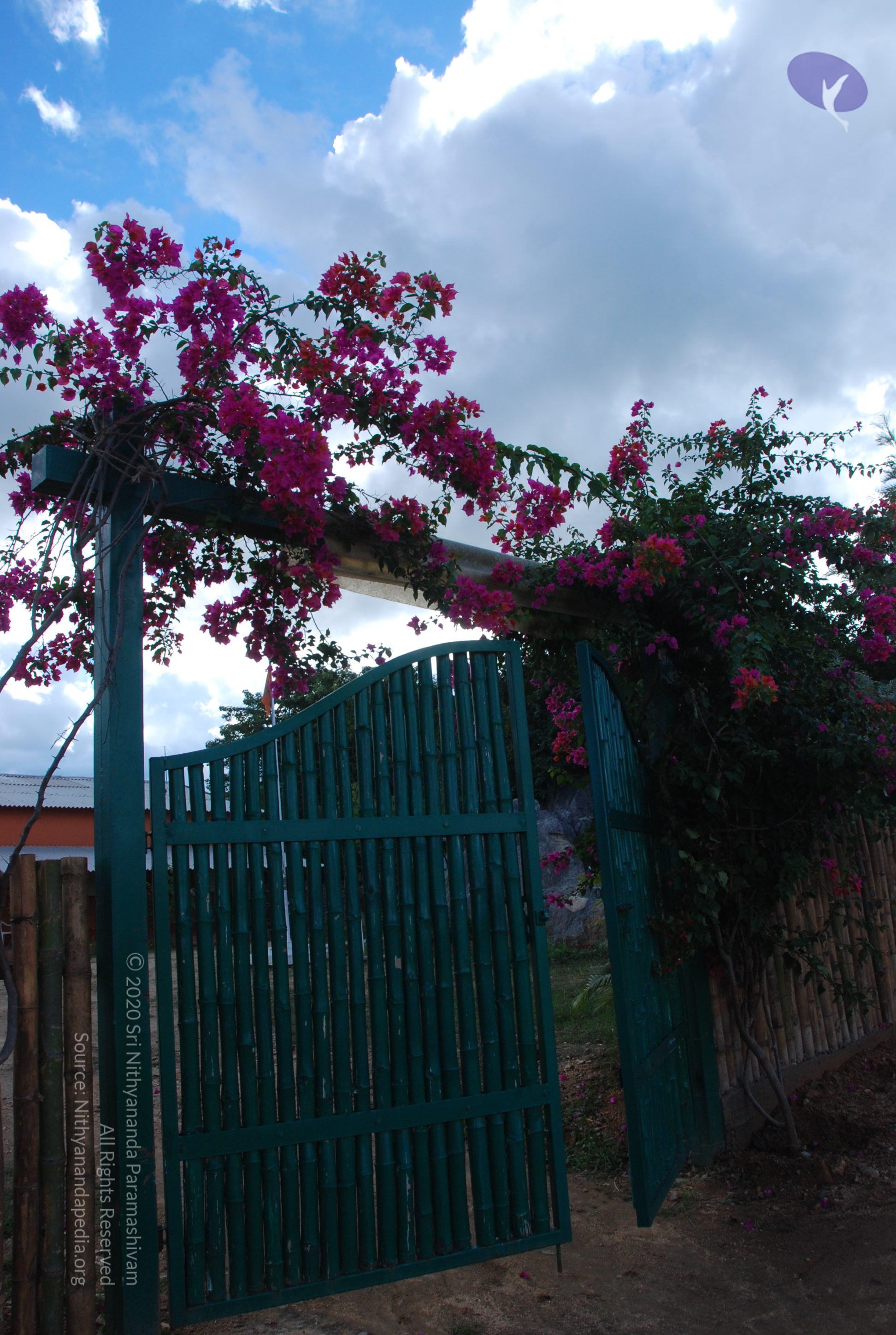 20101005_Photo_1114_DSC_7270_CMP_WM