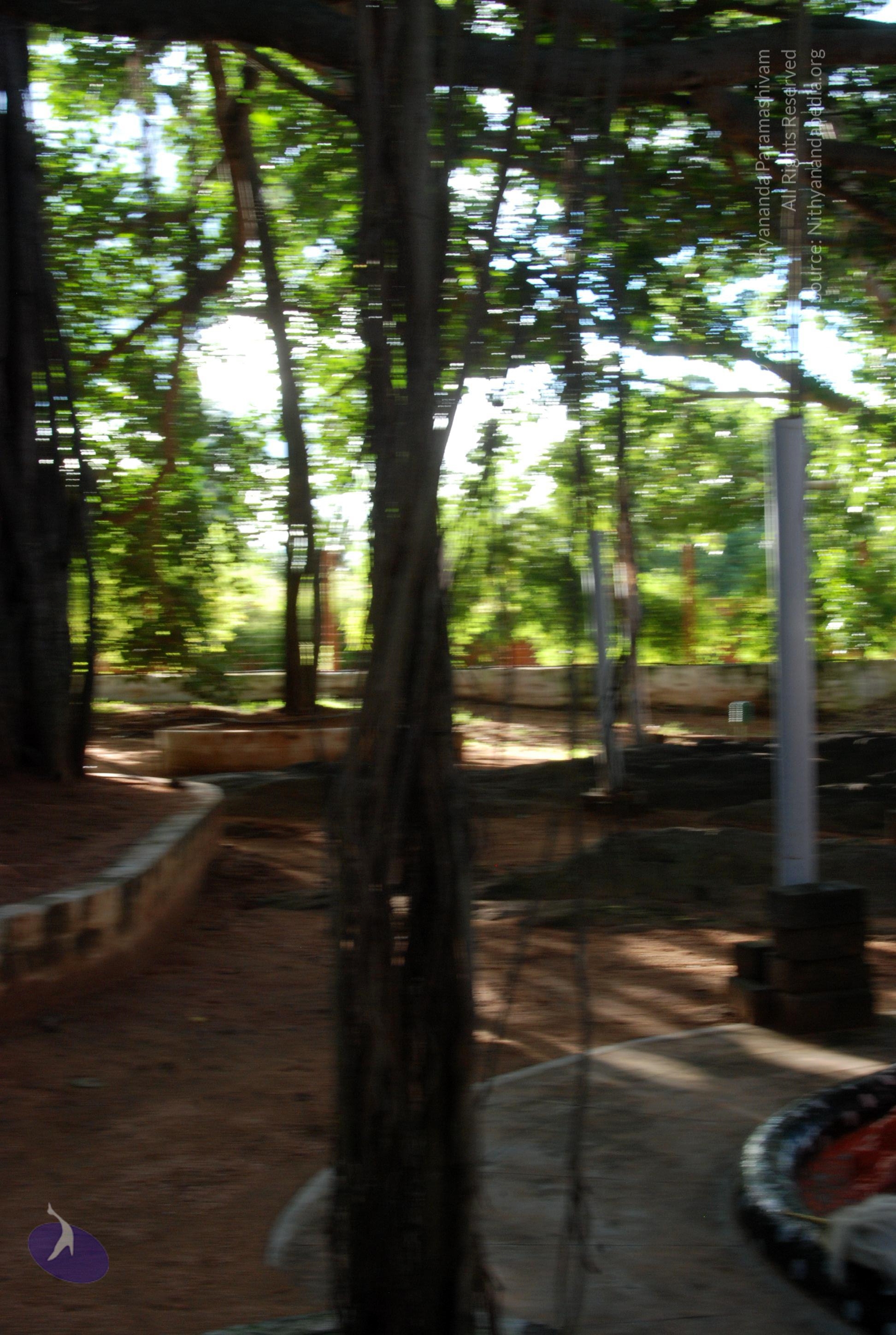 20101005_Photo_1116_DSC_7353_CMP_WM