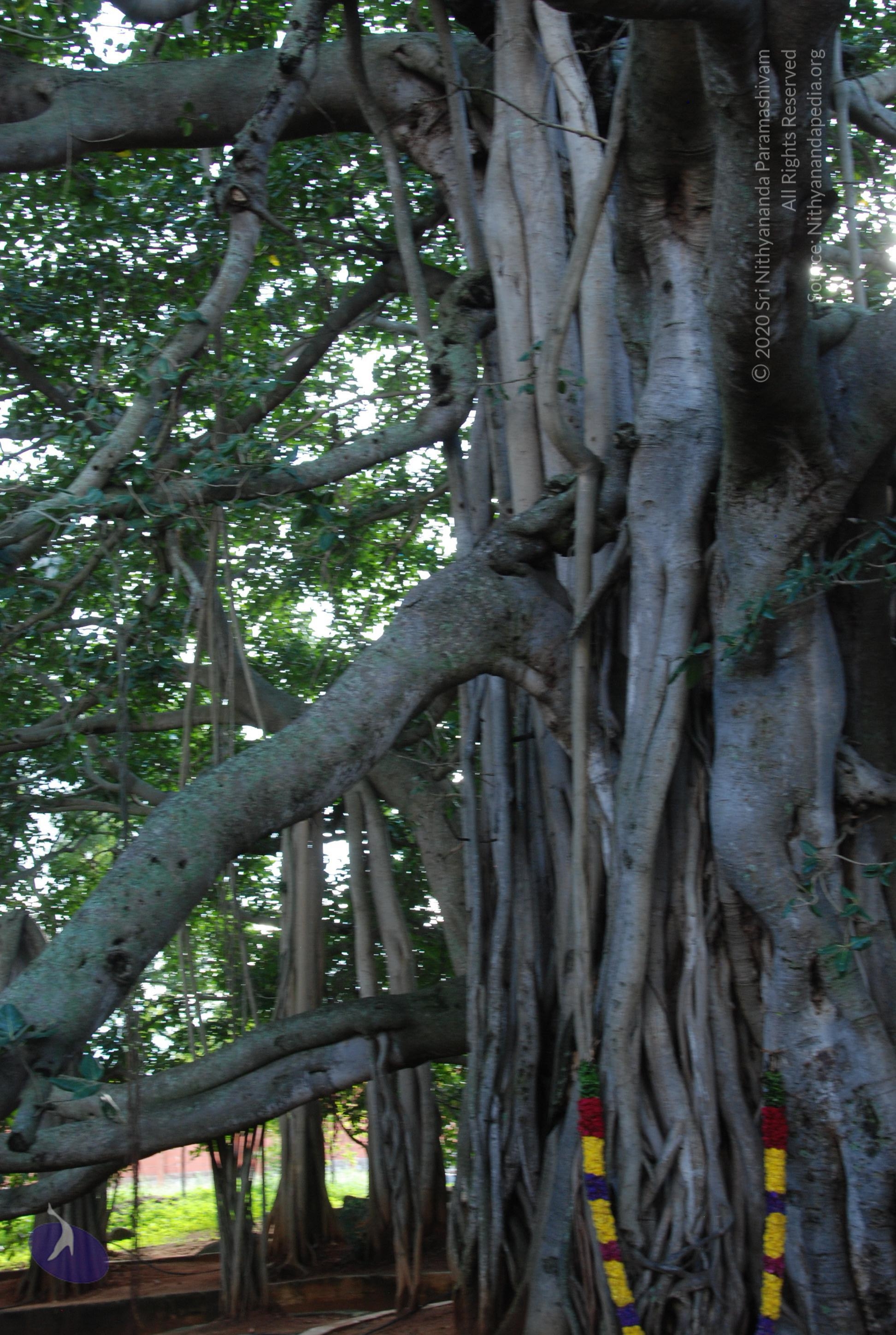 20101005_Photo_1117_DSC_7331_CMP_WM