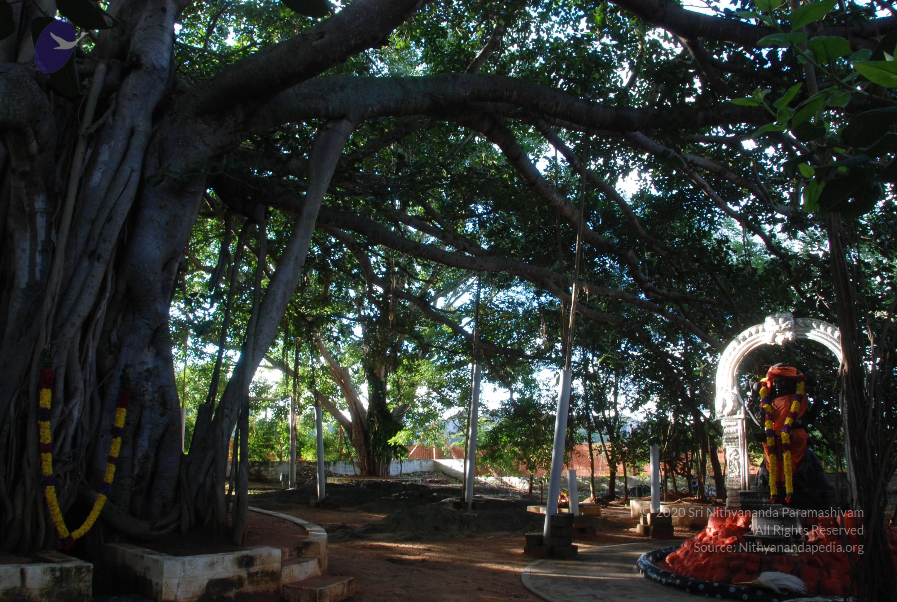 20101005_Photo_1118_DSC_7387_CMP_WM