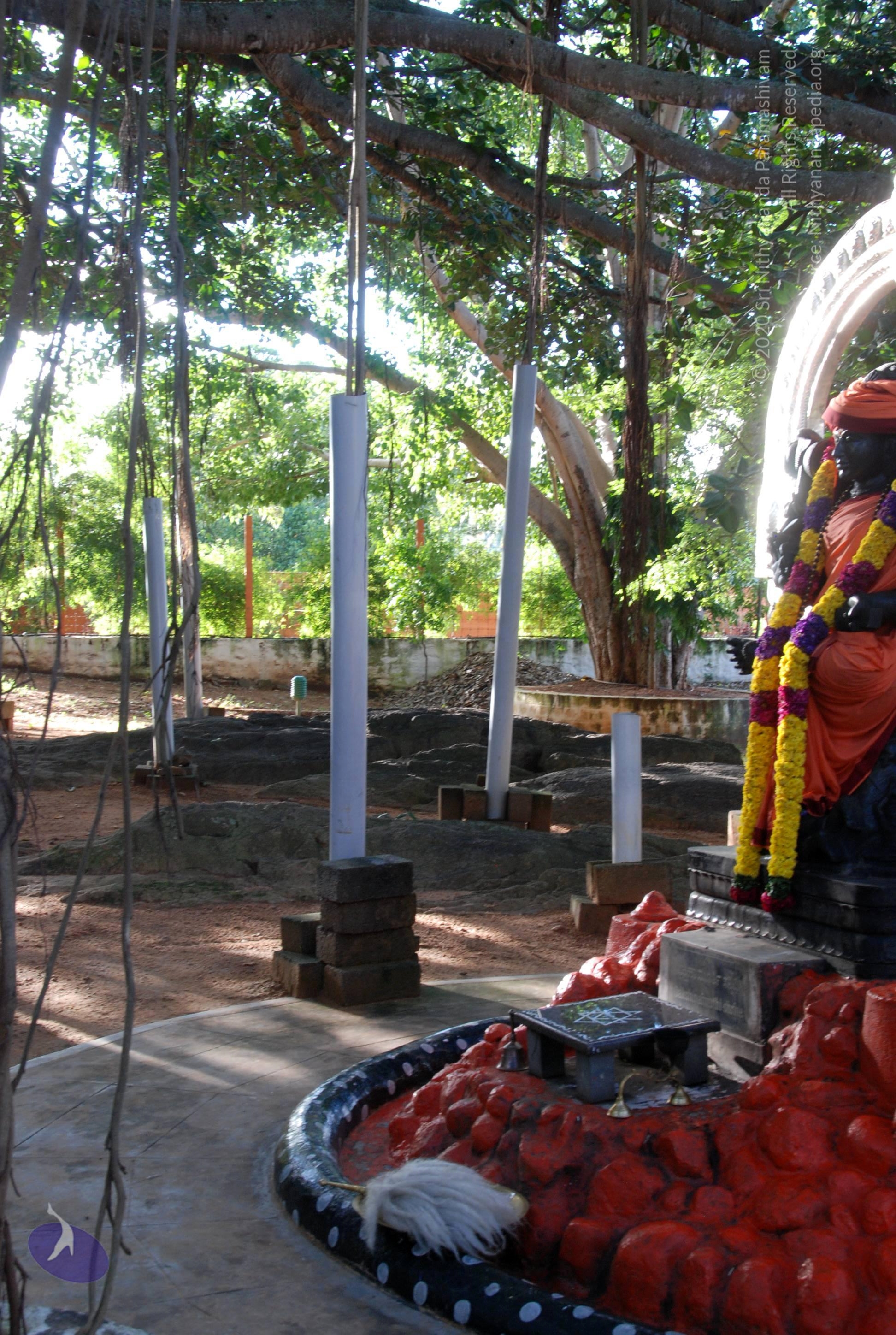 20101005_Photo_1123_DSC_7369_CMP_WM