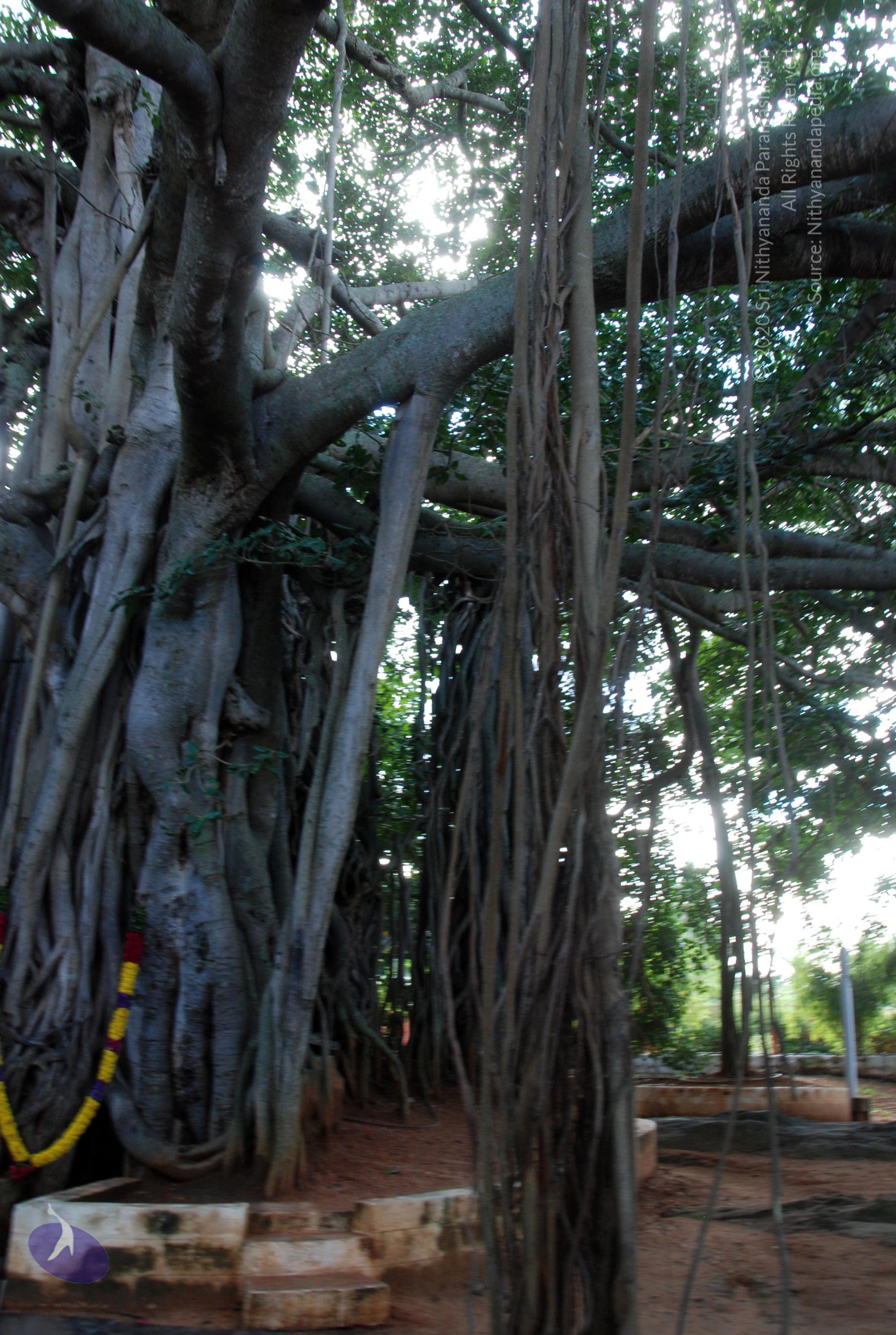 20101005_Photo_1124_DSC_7396_CMP_WM