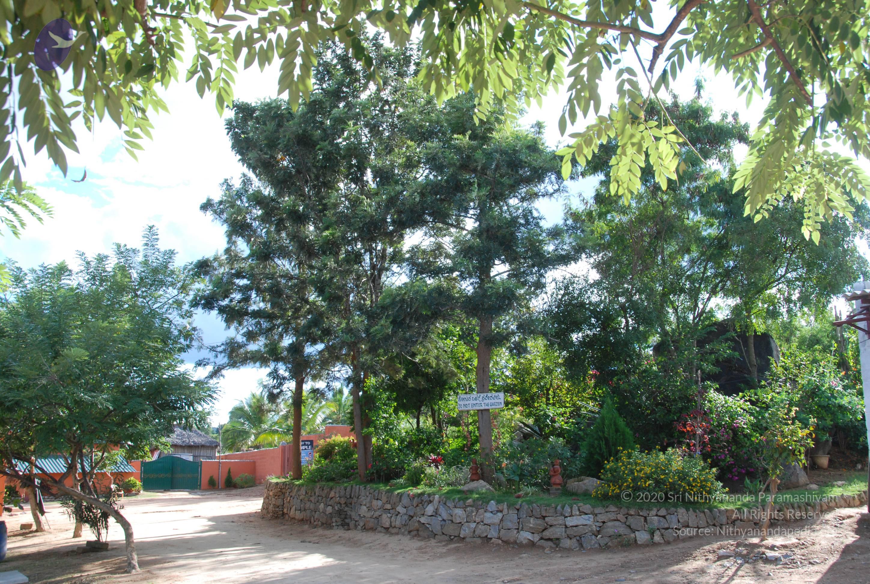 20101005_Photo_1126_DSC_7282_CMP_WM