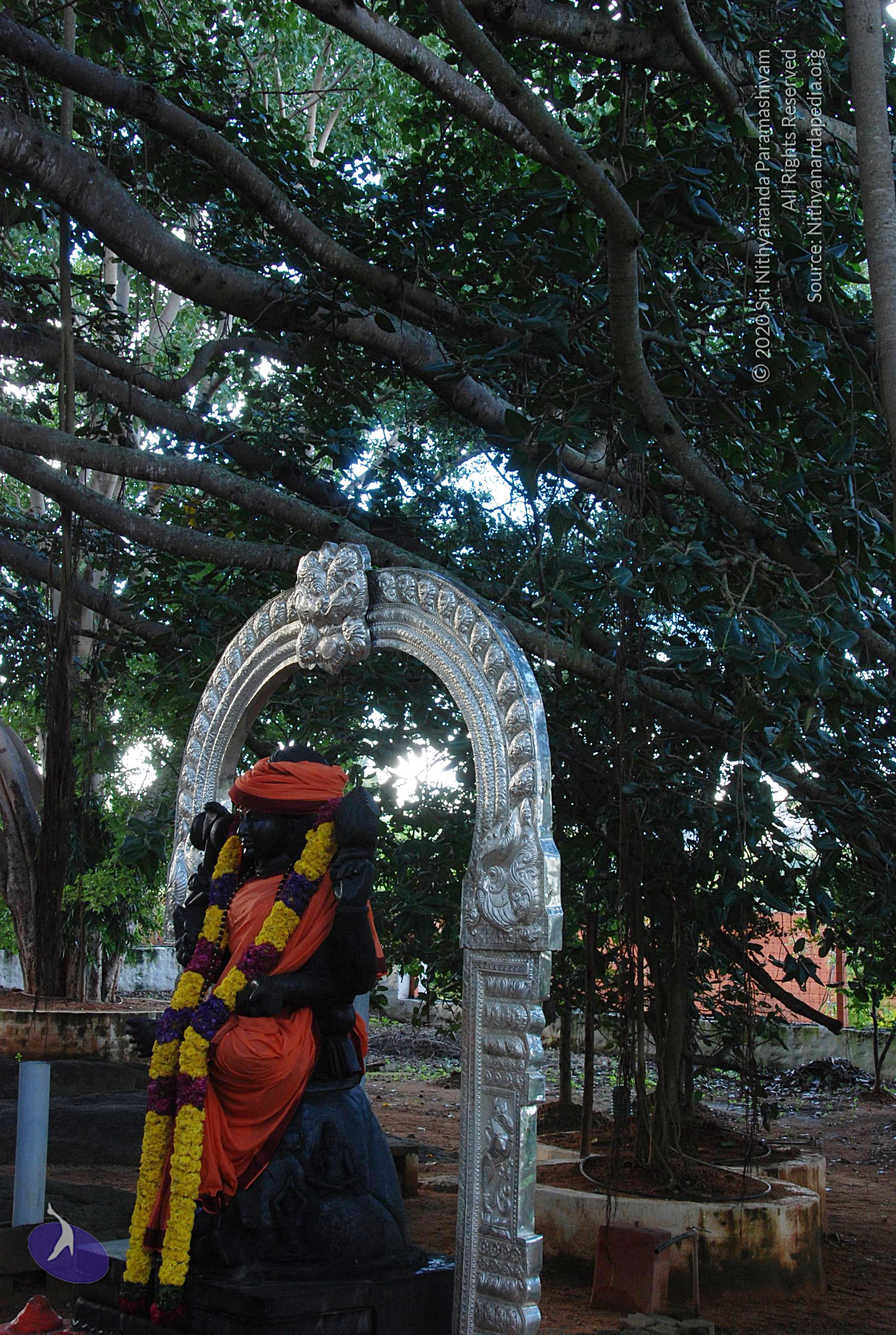 20101005_Photo_1127_DSC_7320_CMP_WM