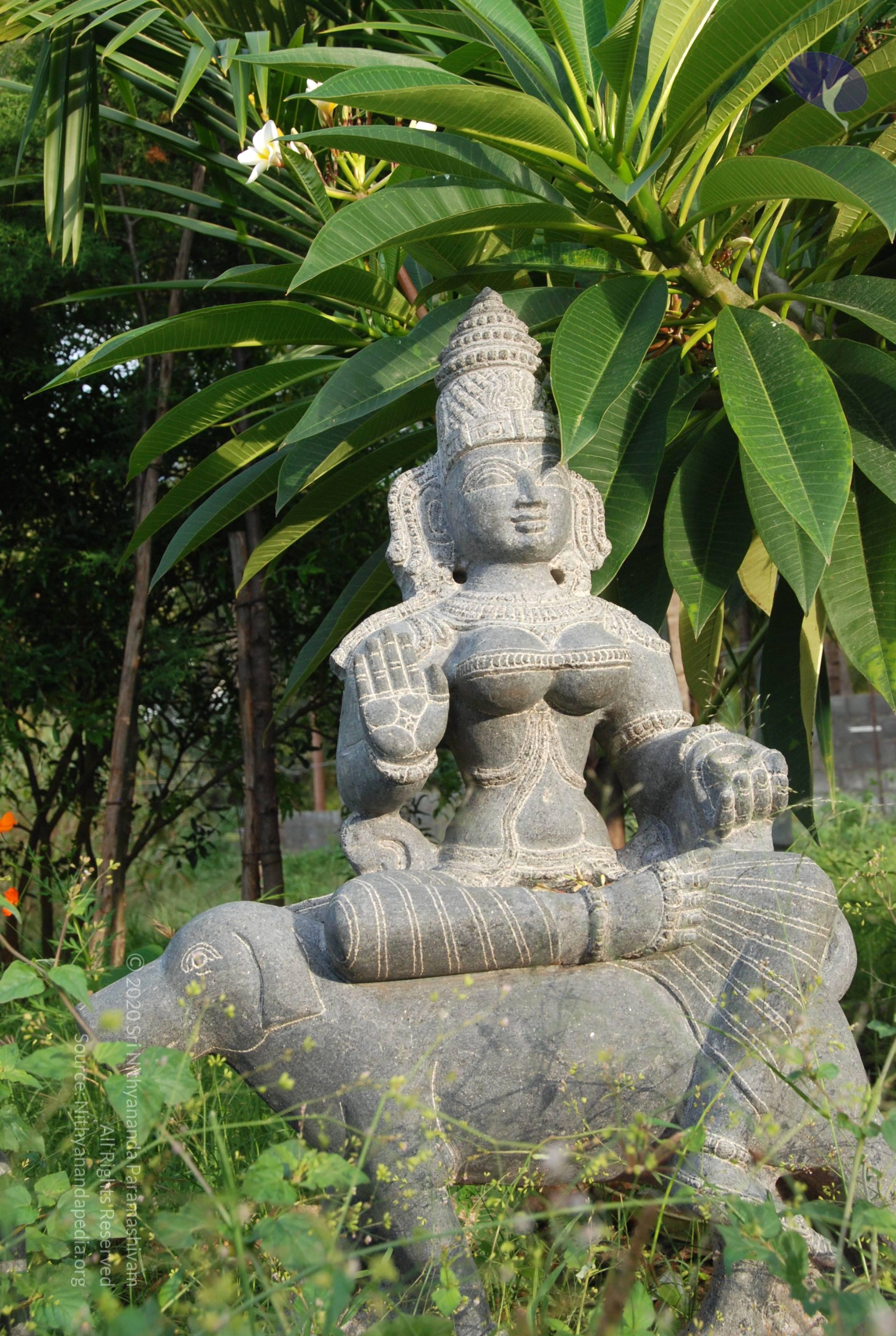 20101005_Photo_1129_DSC_7420_CMP_WM