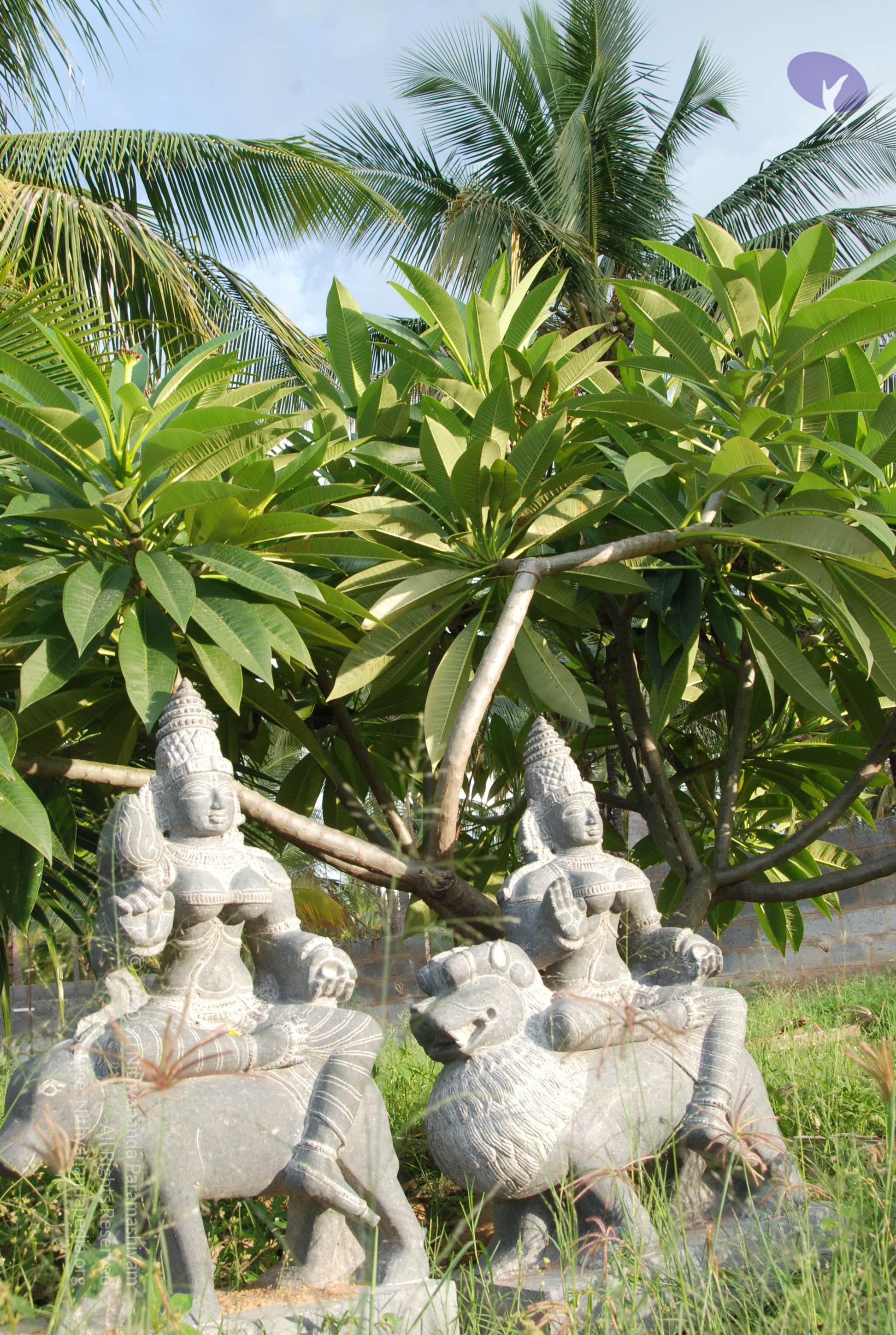 20101005_Photo_1130_DSC_7417_CMP_WM