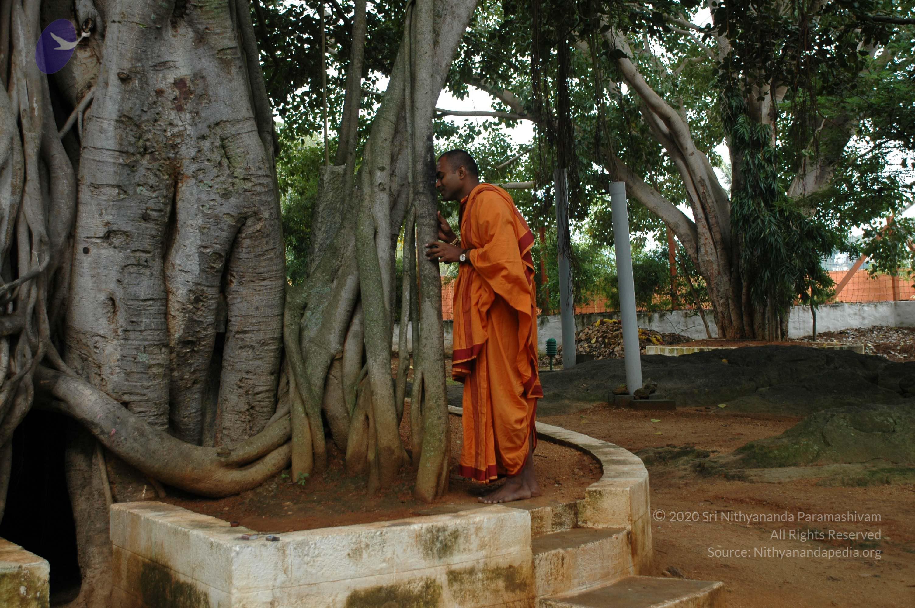 20101005_Photo_1137_DSC_7803_CMP_WM