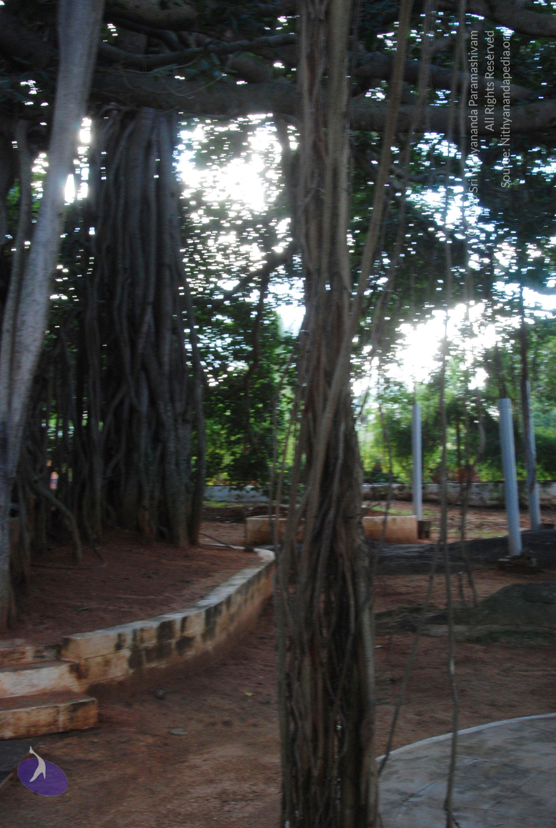 20101005_Photo_1139_DSC_7310_CMP_WM