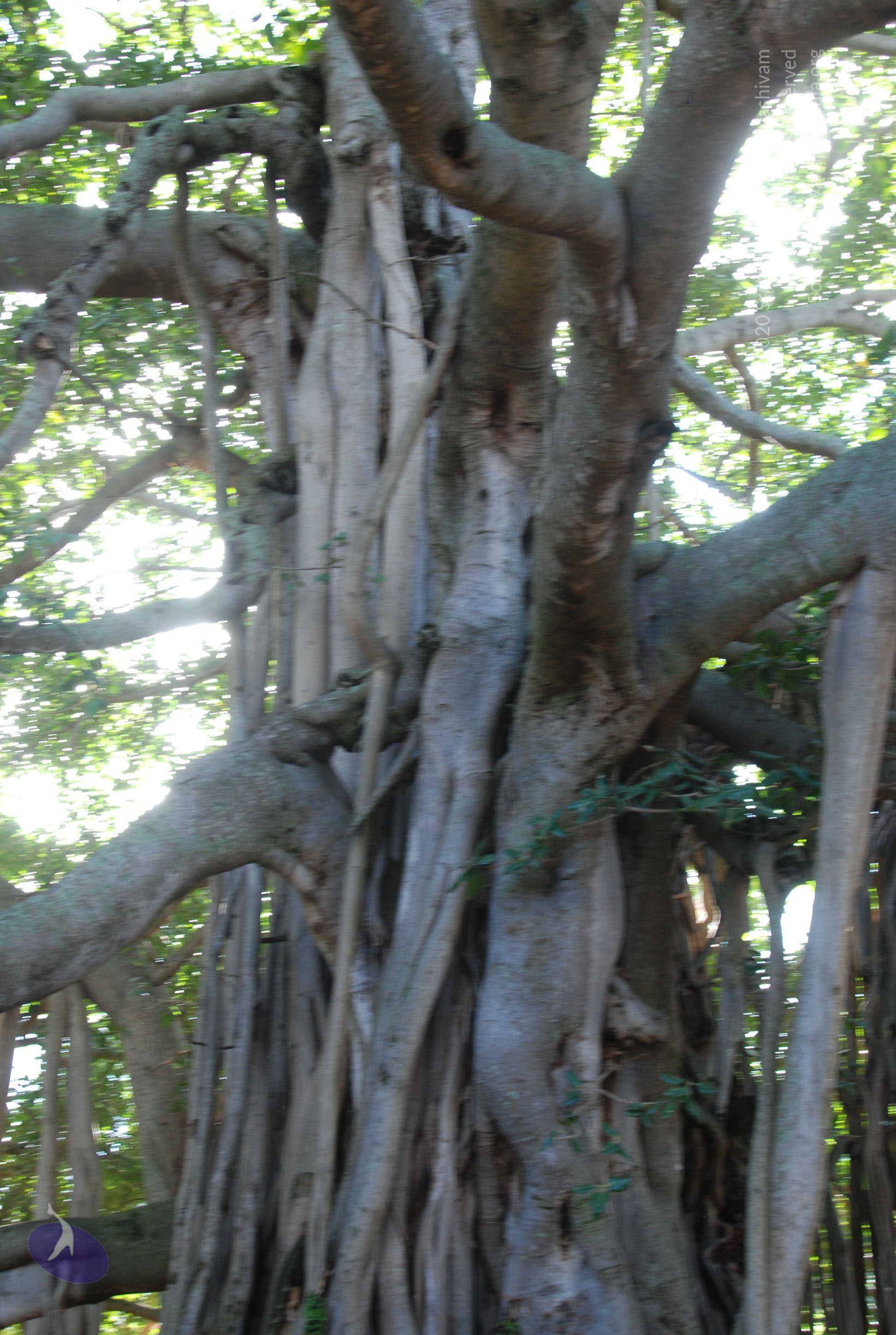 20101005_Photo_1144_DSC_7359_CMP_WM