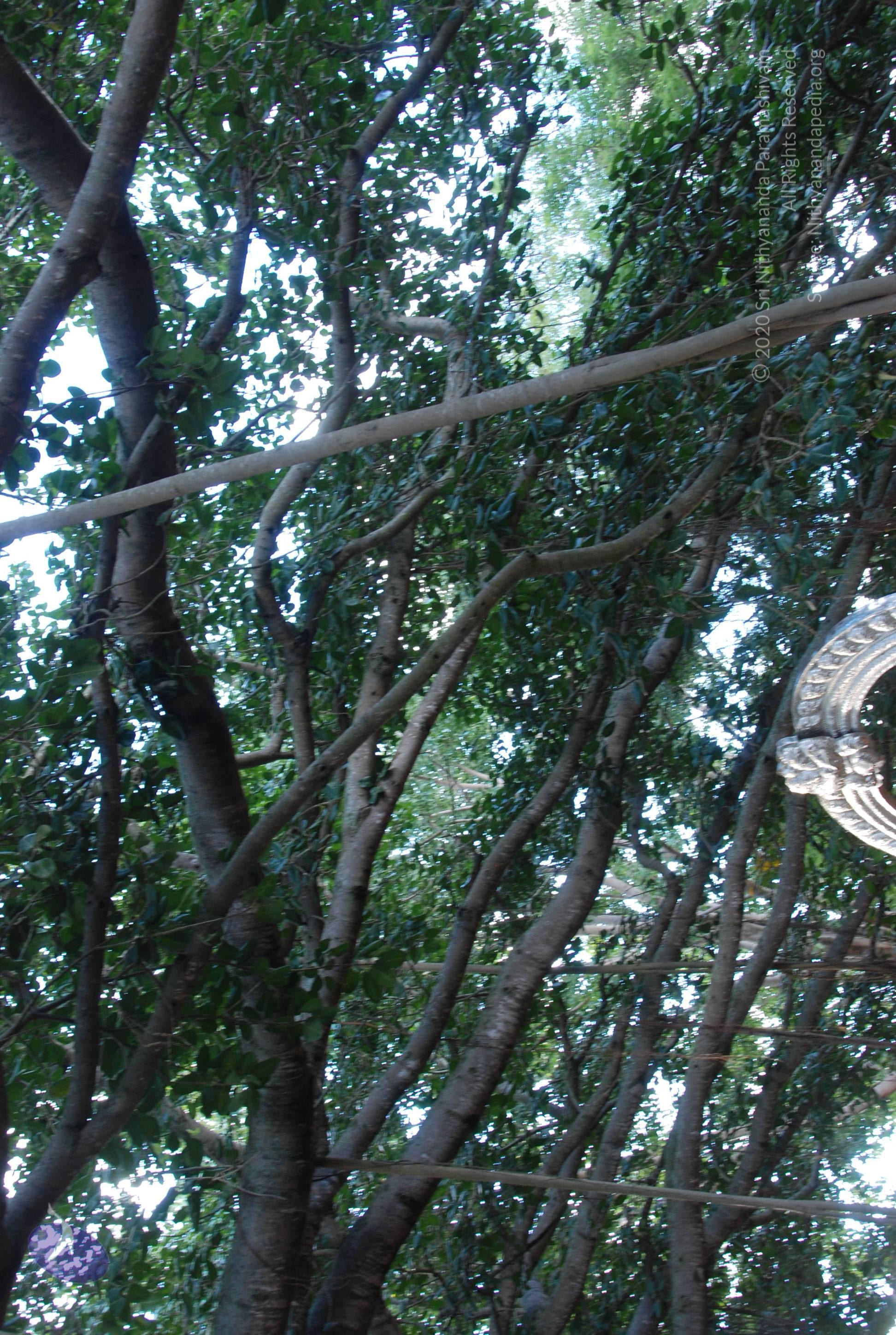 20101005_Photo_1147_DSC_7348_CMP_WM