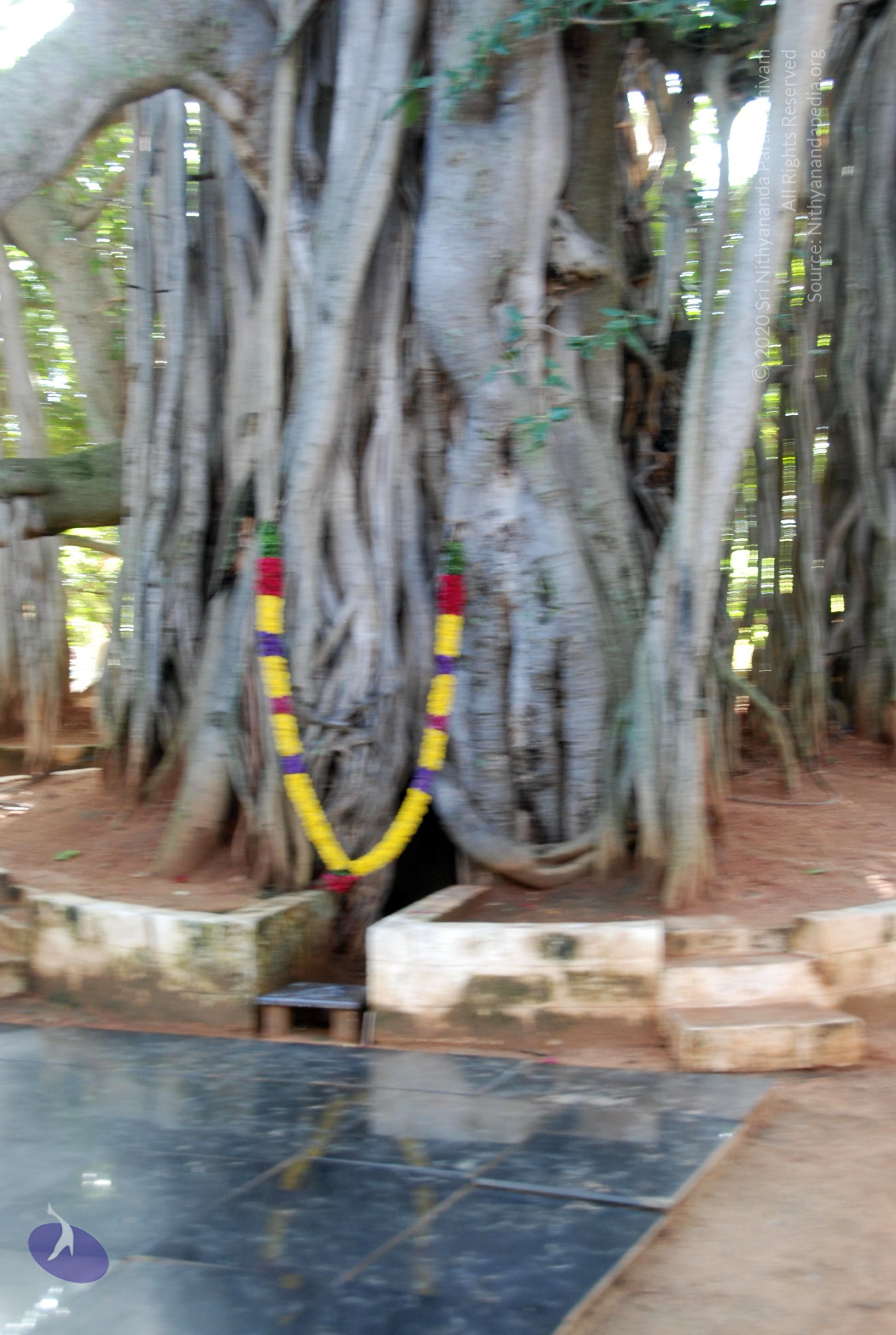 20101005_Photo_1150_DSC_7354_CMP_WM