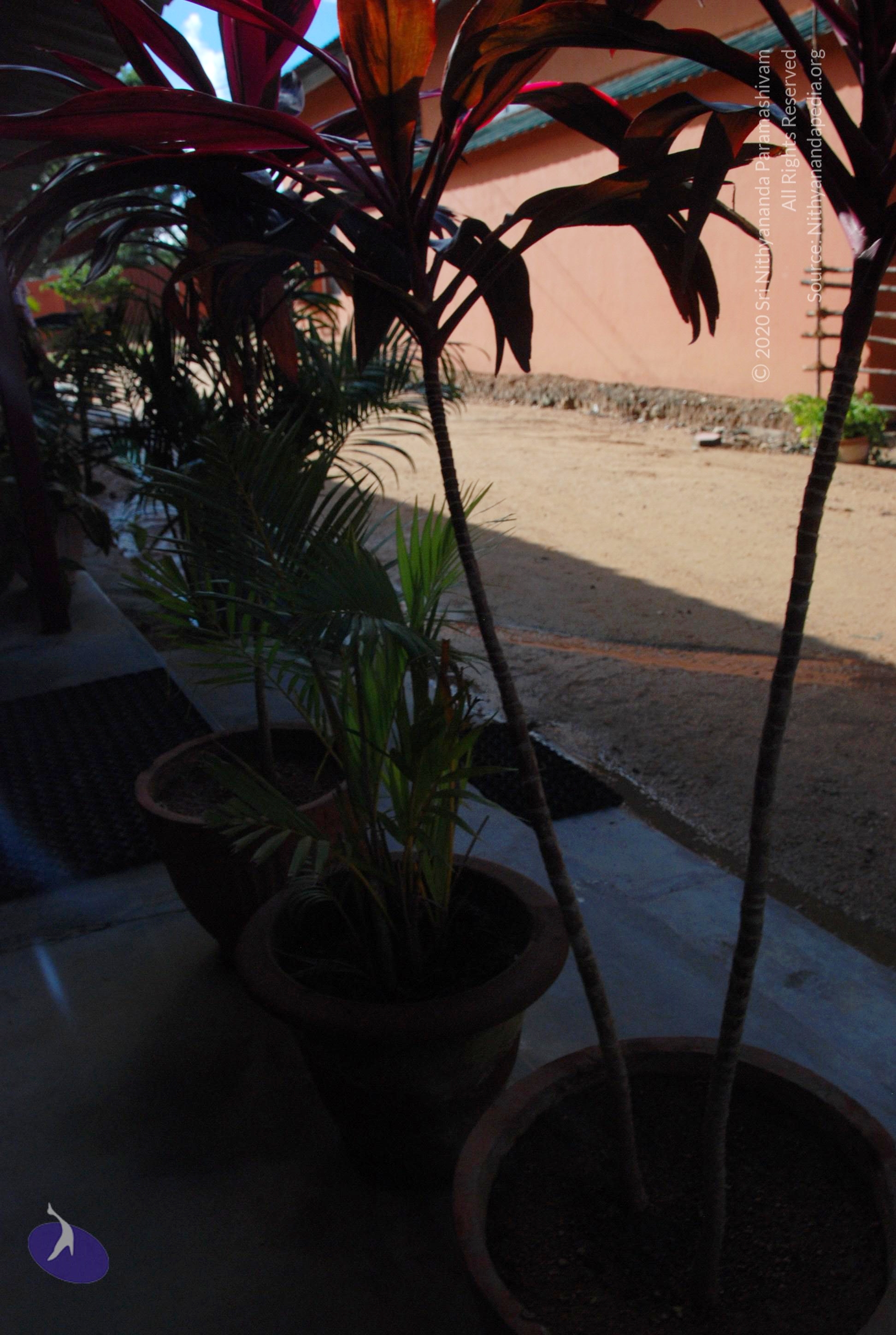 20101005_Photo_1151_DSC_7277_CMP_WM